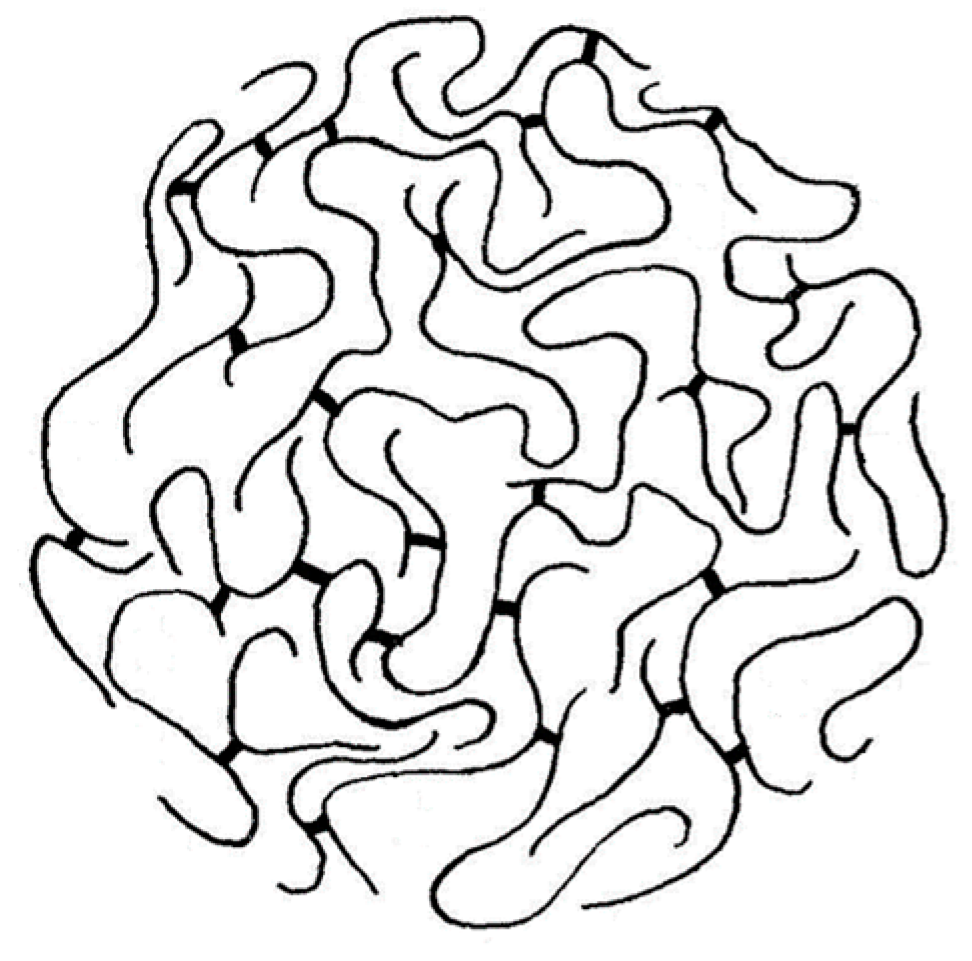 Molecules 24 04611 g001 550