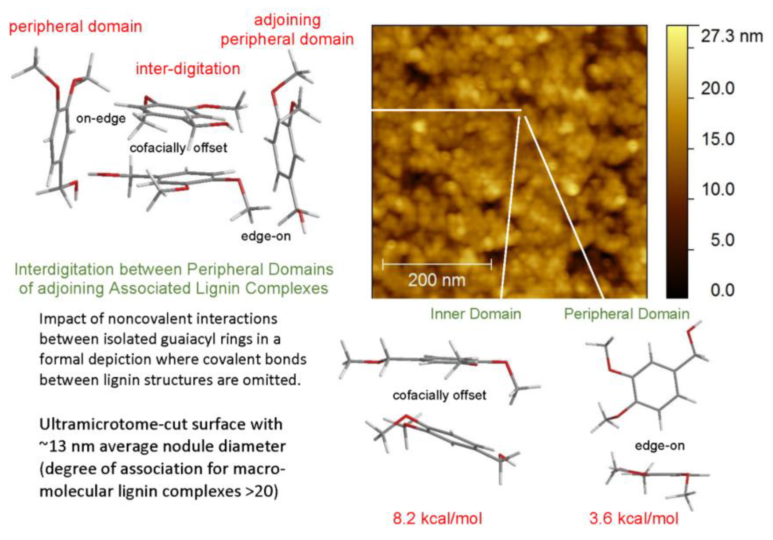 Molecules 24 04611 g006 550