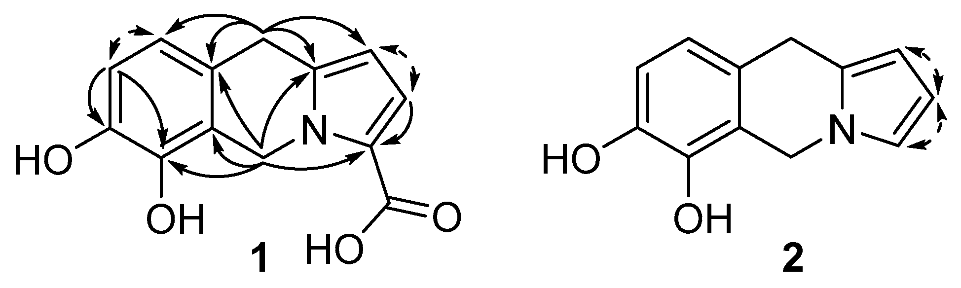 Molecules 24 04616 g002