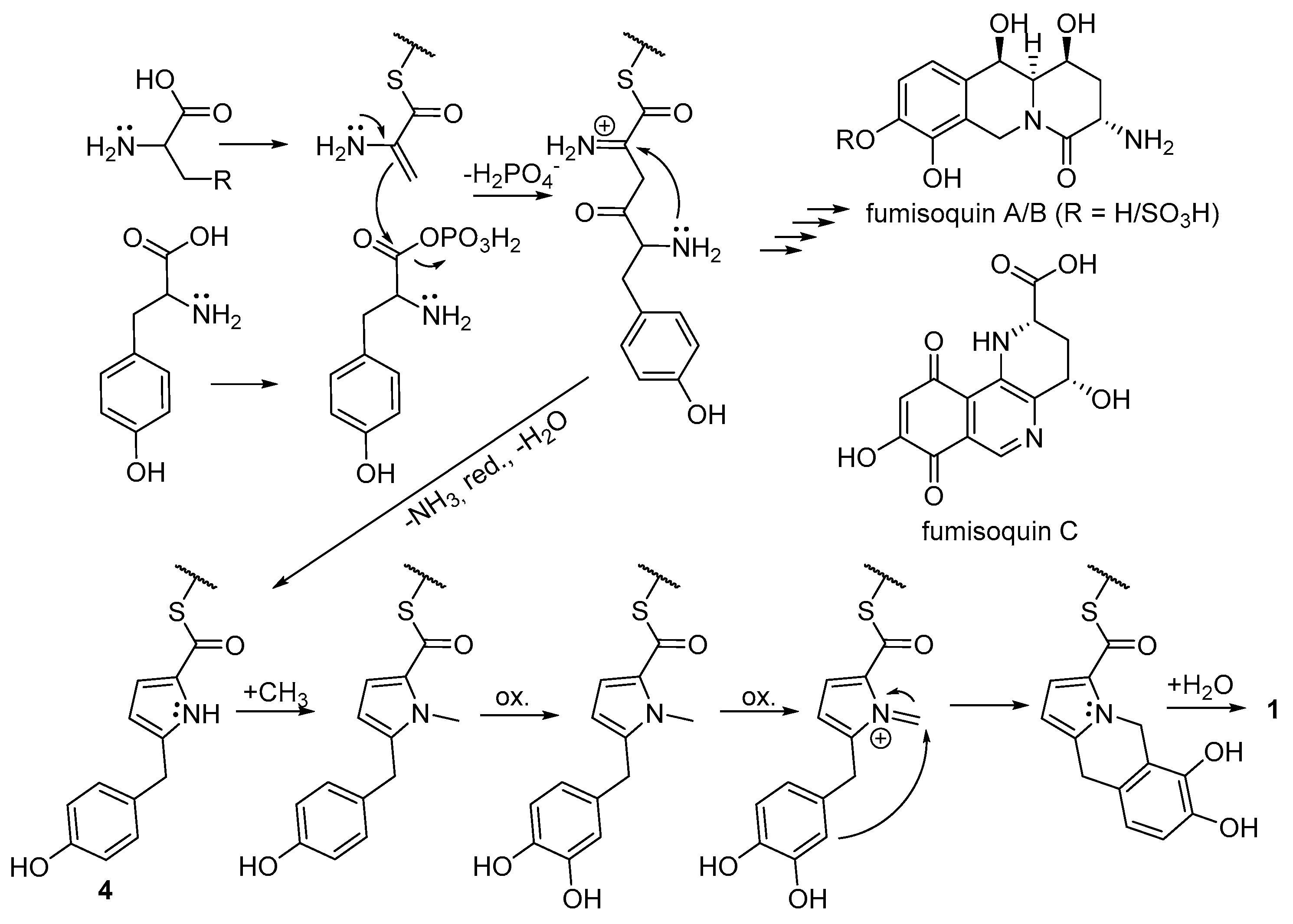 Molecules 24 04616 g003