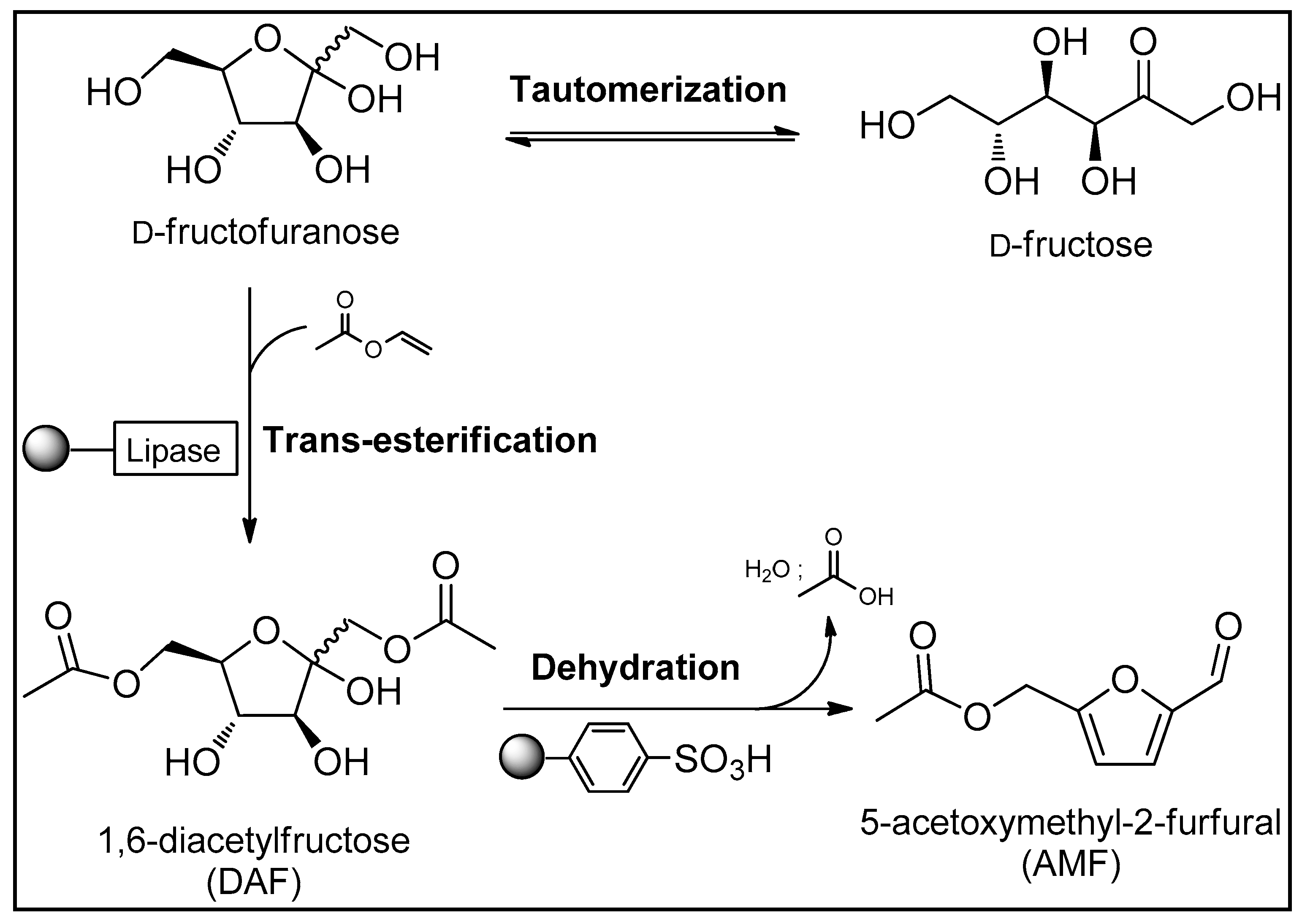 Molecules 24 04623 sch001 Molecules 24 04623 sch001
