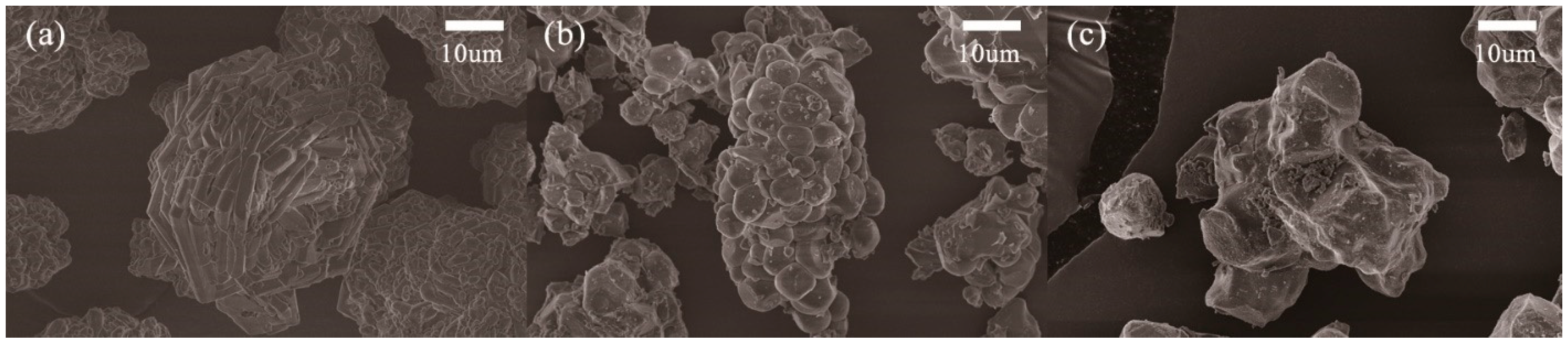 Molecules 24 04624 g001 Molecules 24 04624 g001