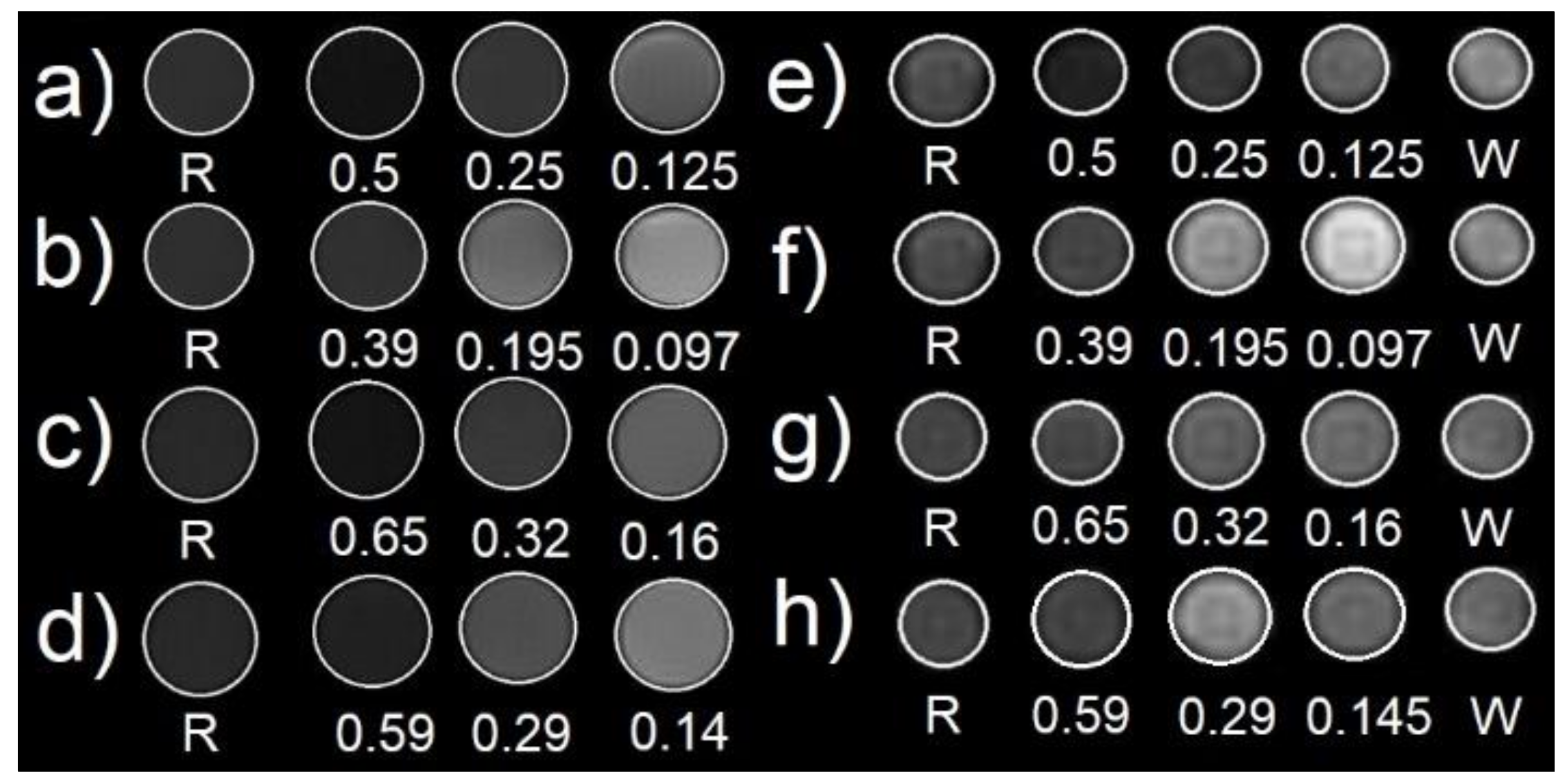 Molecules 24 04629 g008