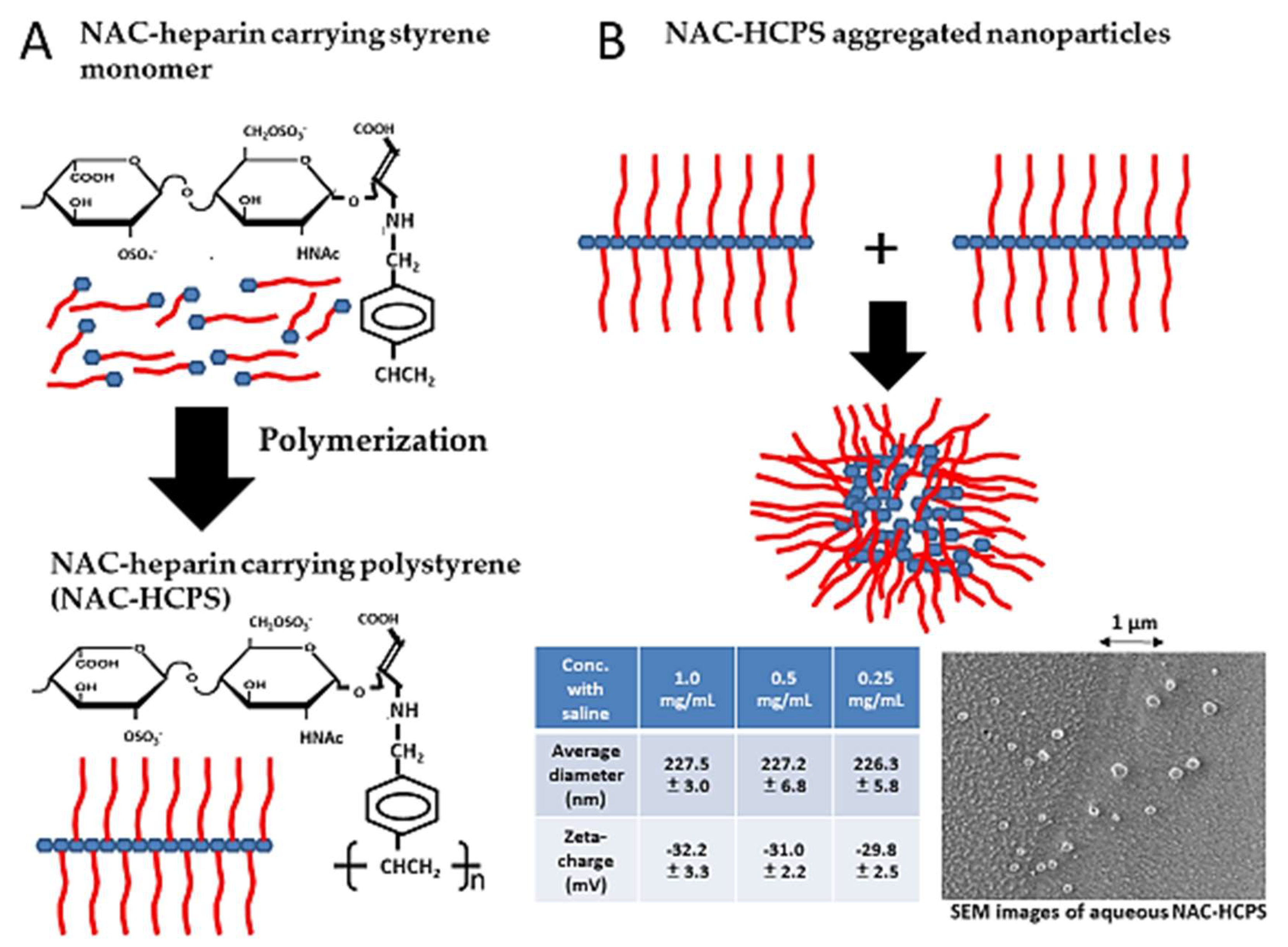 Molecules 24 04630 g004