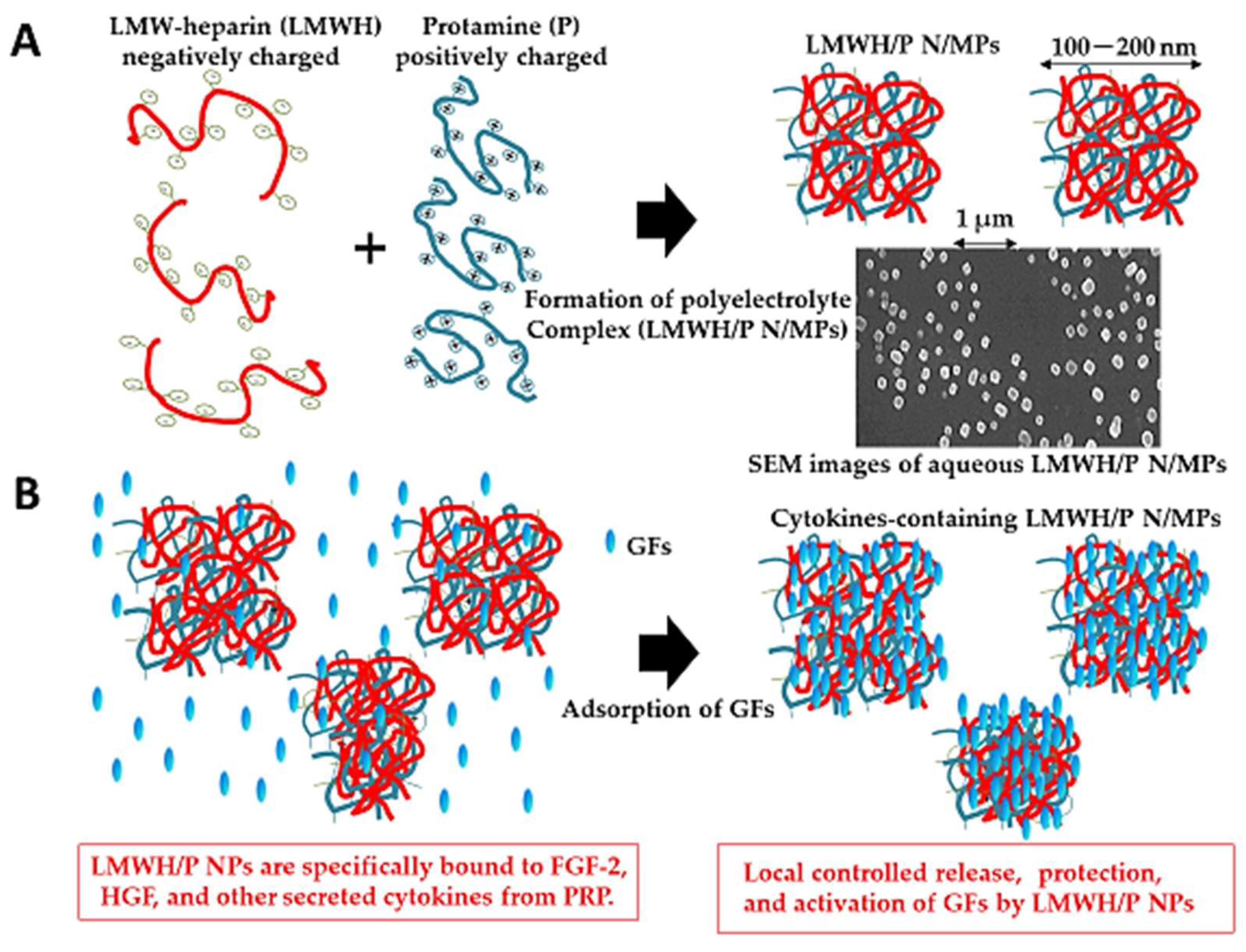 Molecules 24 04630 g005