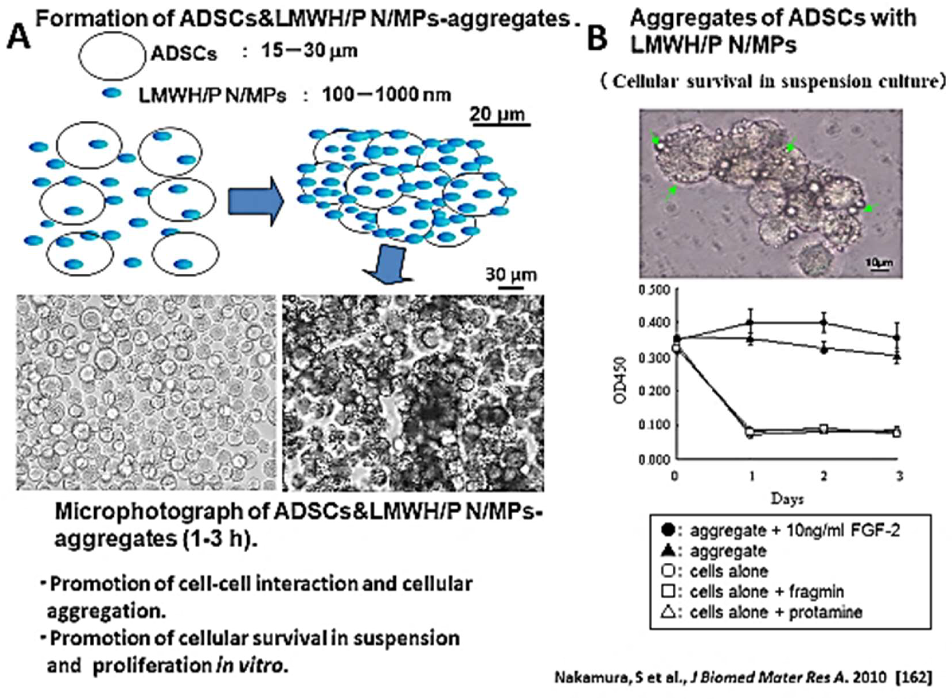 Molecules 24 04630 g006