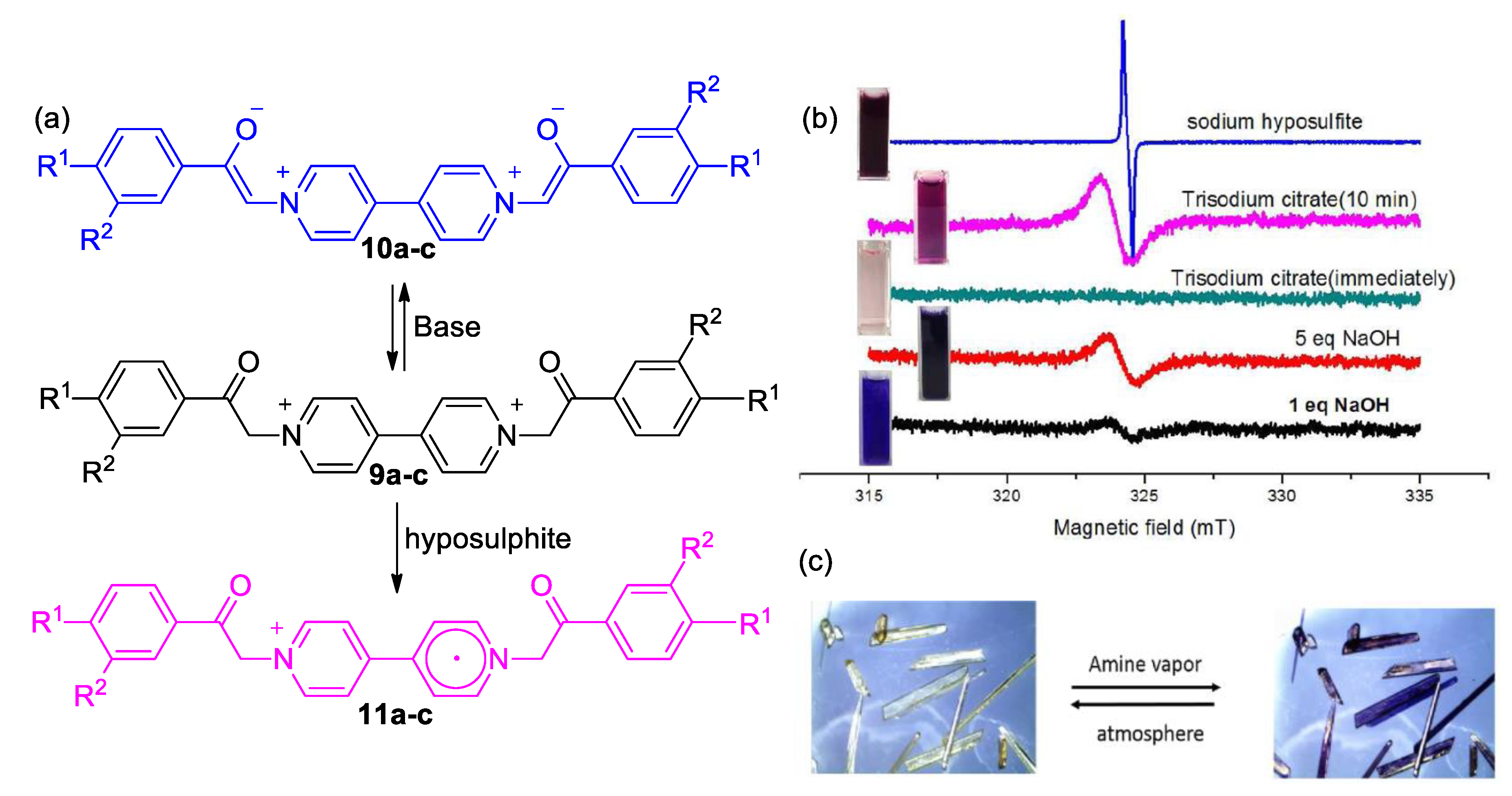 Molecules 25 00001 g005