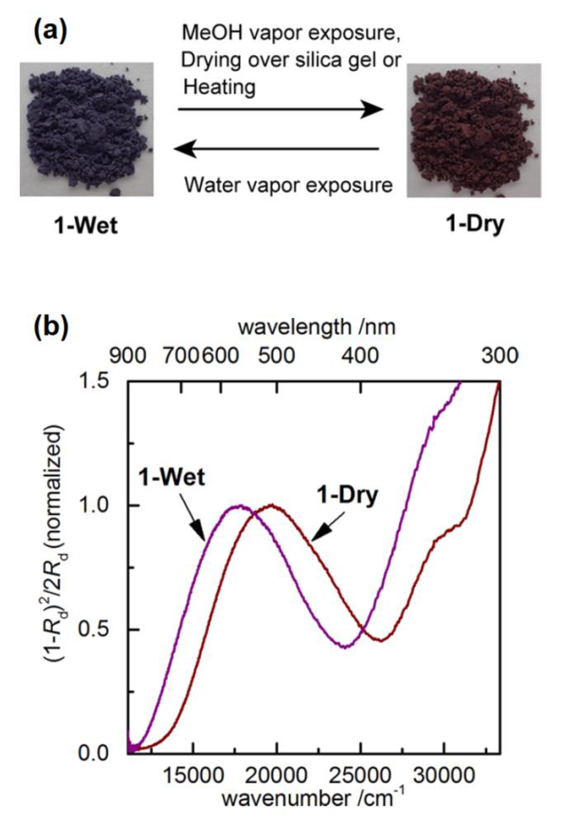 Molecules 25 00001 g024