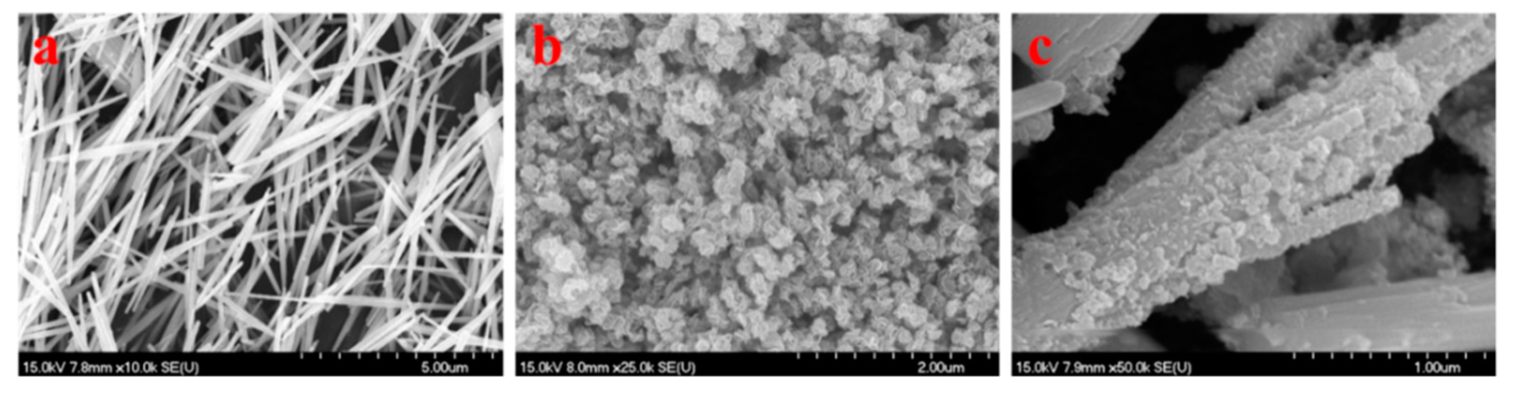 Molecules 25 00002 g002 Molecules 25 00002 g002