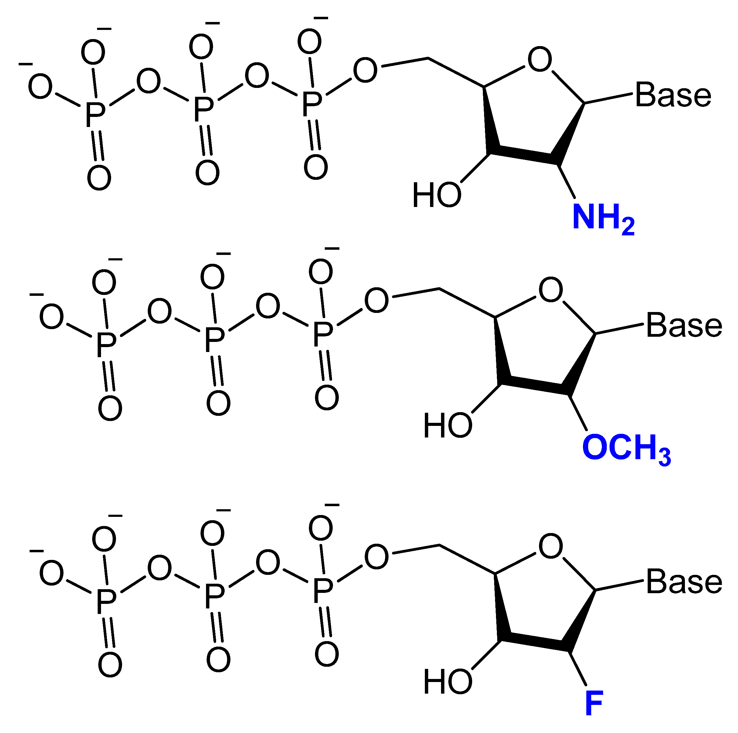 Molecules 25 00003 g005 Molecules 25 00003 g005