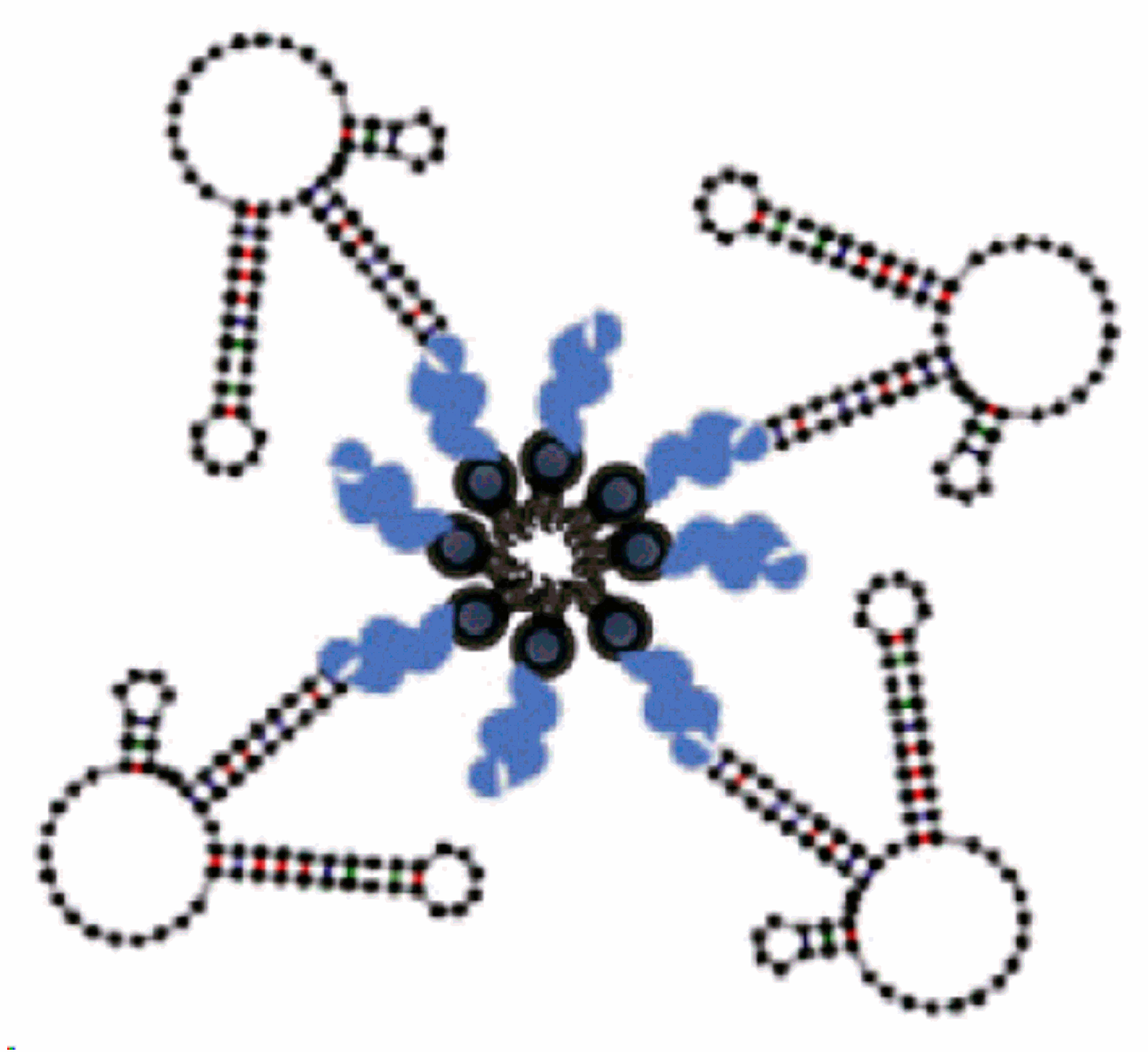 Molecules 25 00003 g023 Molecules 25 00003 g023