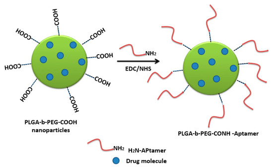Aptamers Chemistry: Chemical Modifications and Conjugation