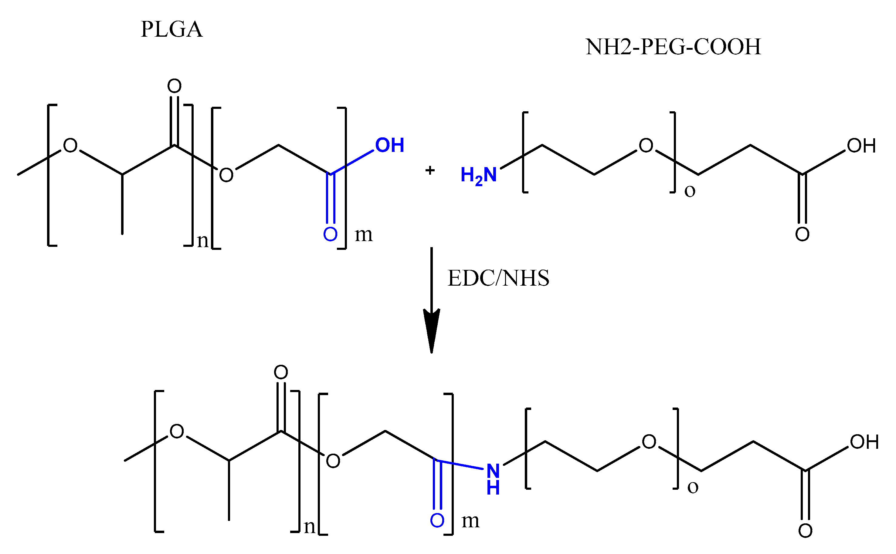 Molecules 25 00003 g026 Molecules 25 00003 g026