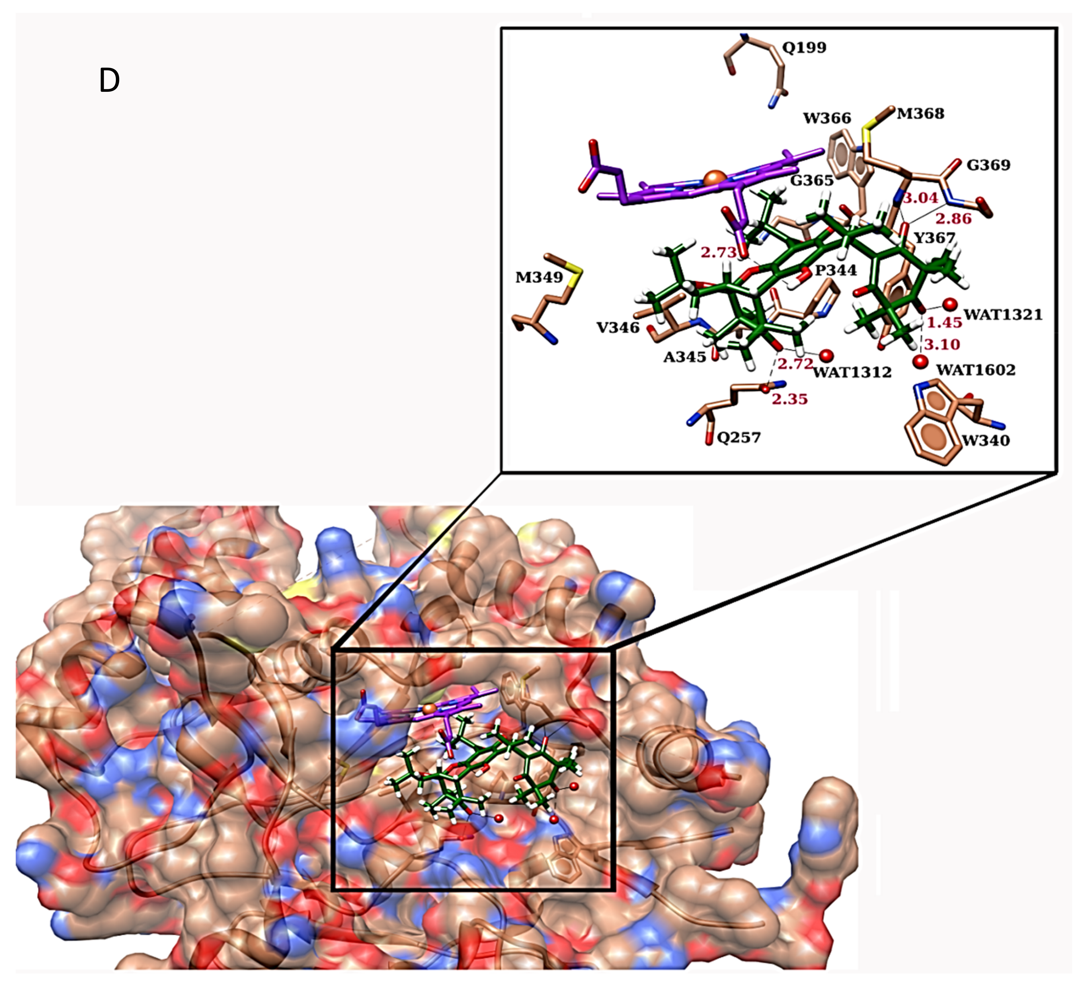 Molecules 25 00013 g003b