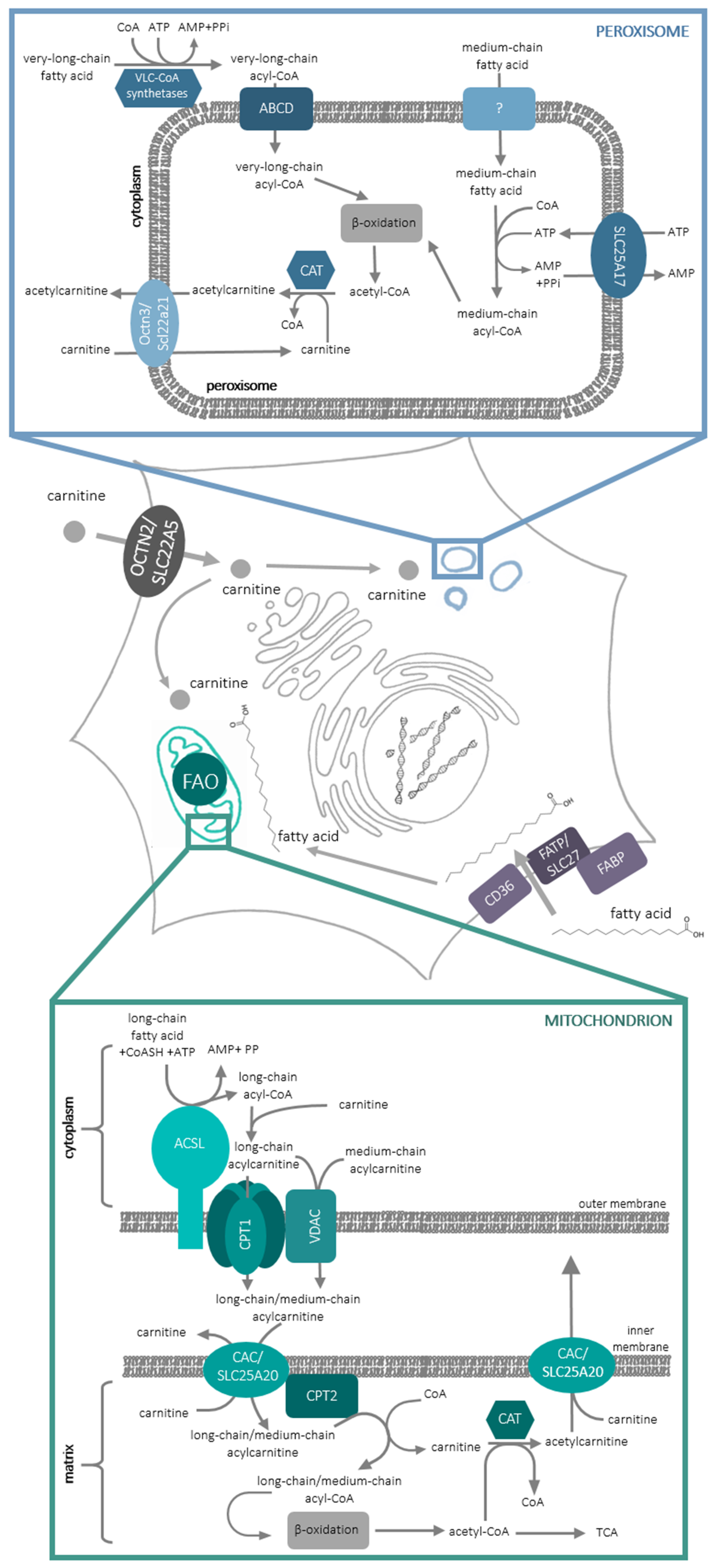 Molecules 25 00014 g001 Molecules 25 00014 g001