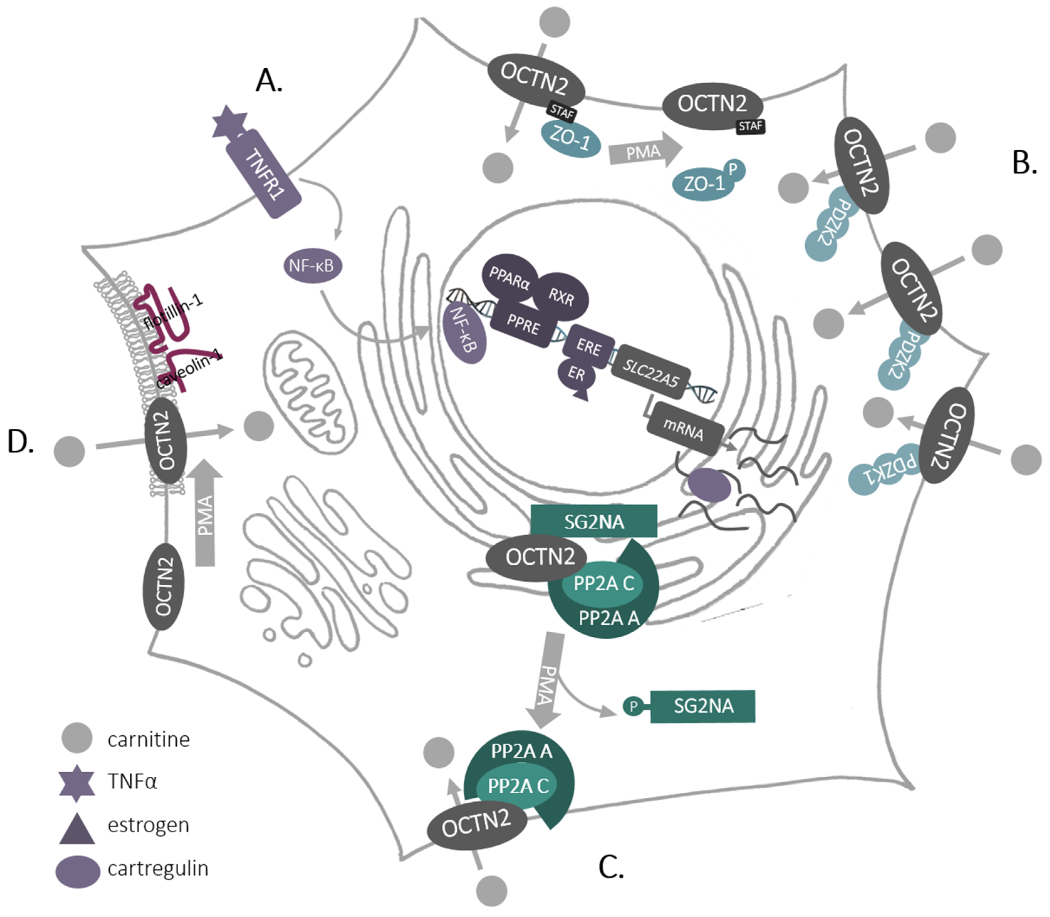 Molecules 25 00014 g003 Molecules 25 00014 g003