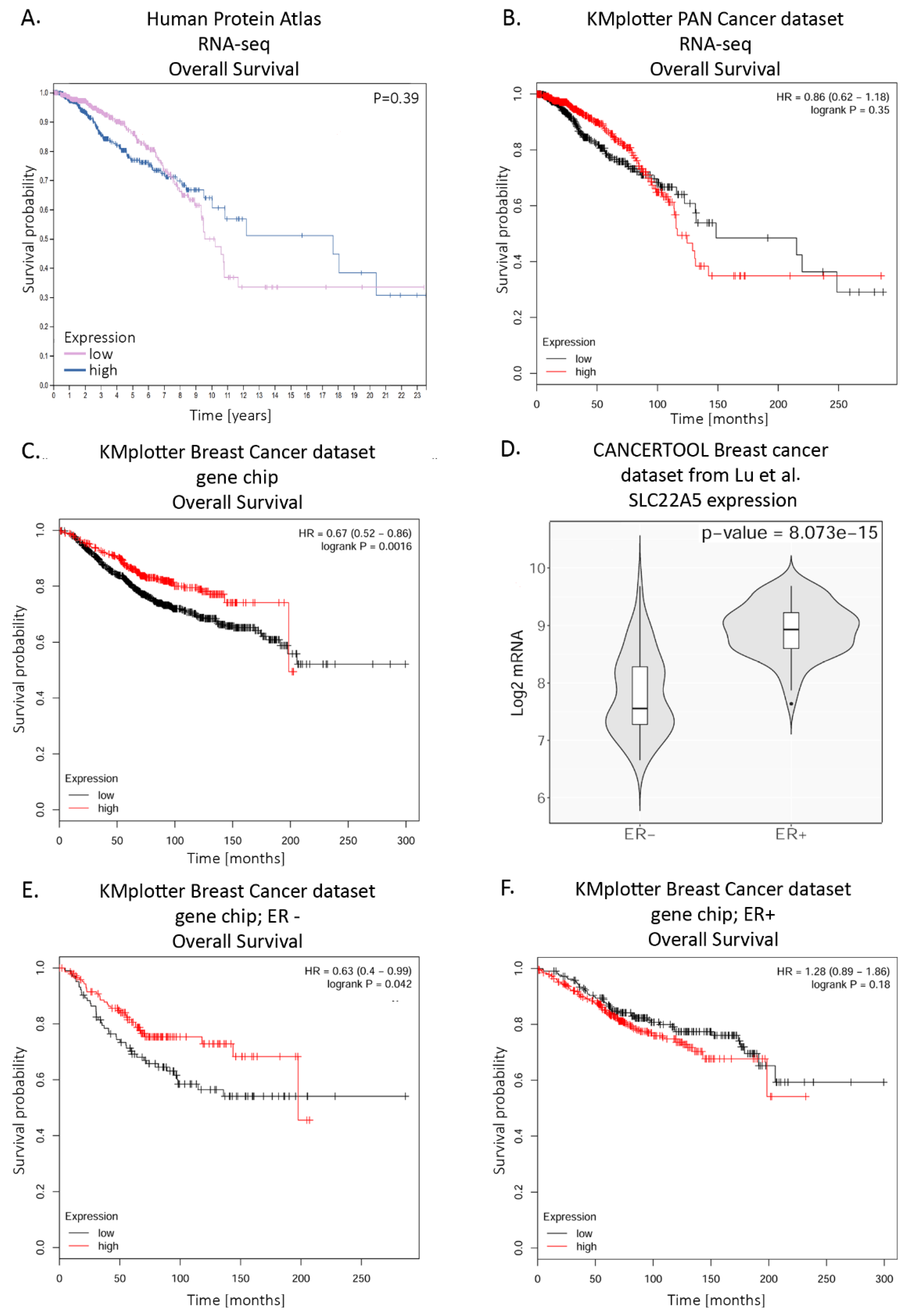 Molecules 25 00014 g004 Molecules 25 00014 g004
