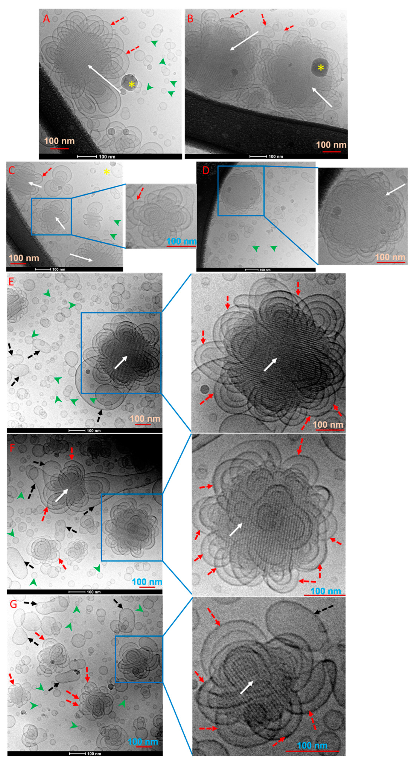 Molecules 25 00016 g003 Molecules 25 00016 g003