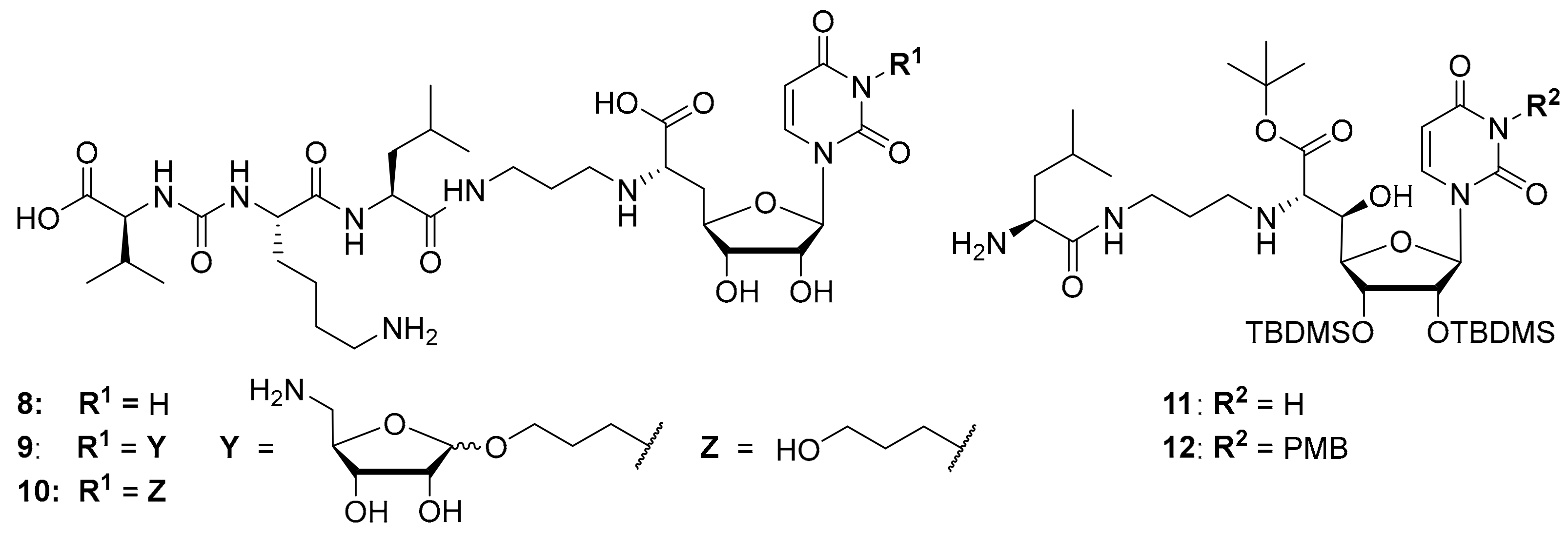 Molecules 25 00022 g003