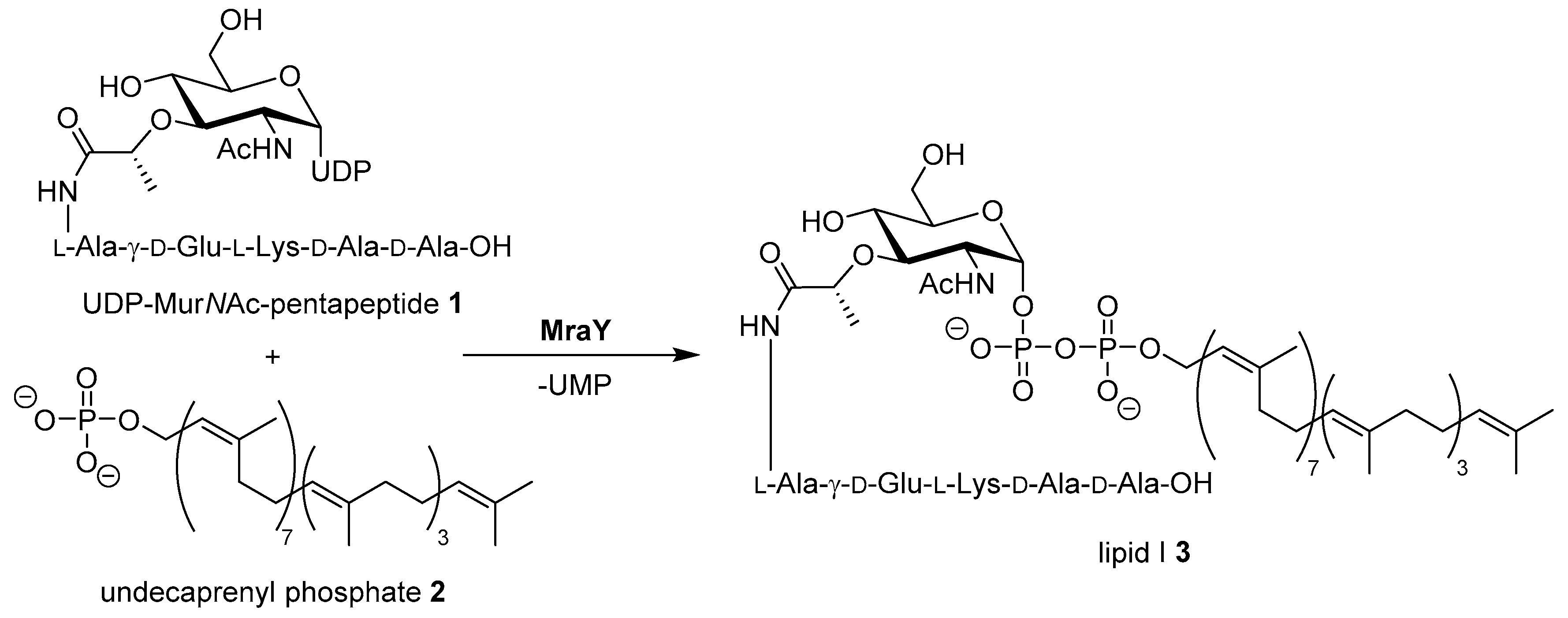 Molecules 25 00022 sch001