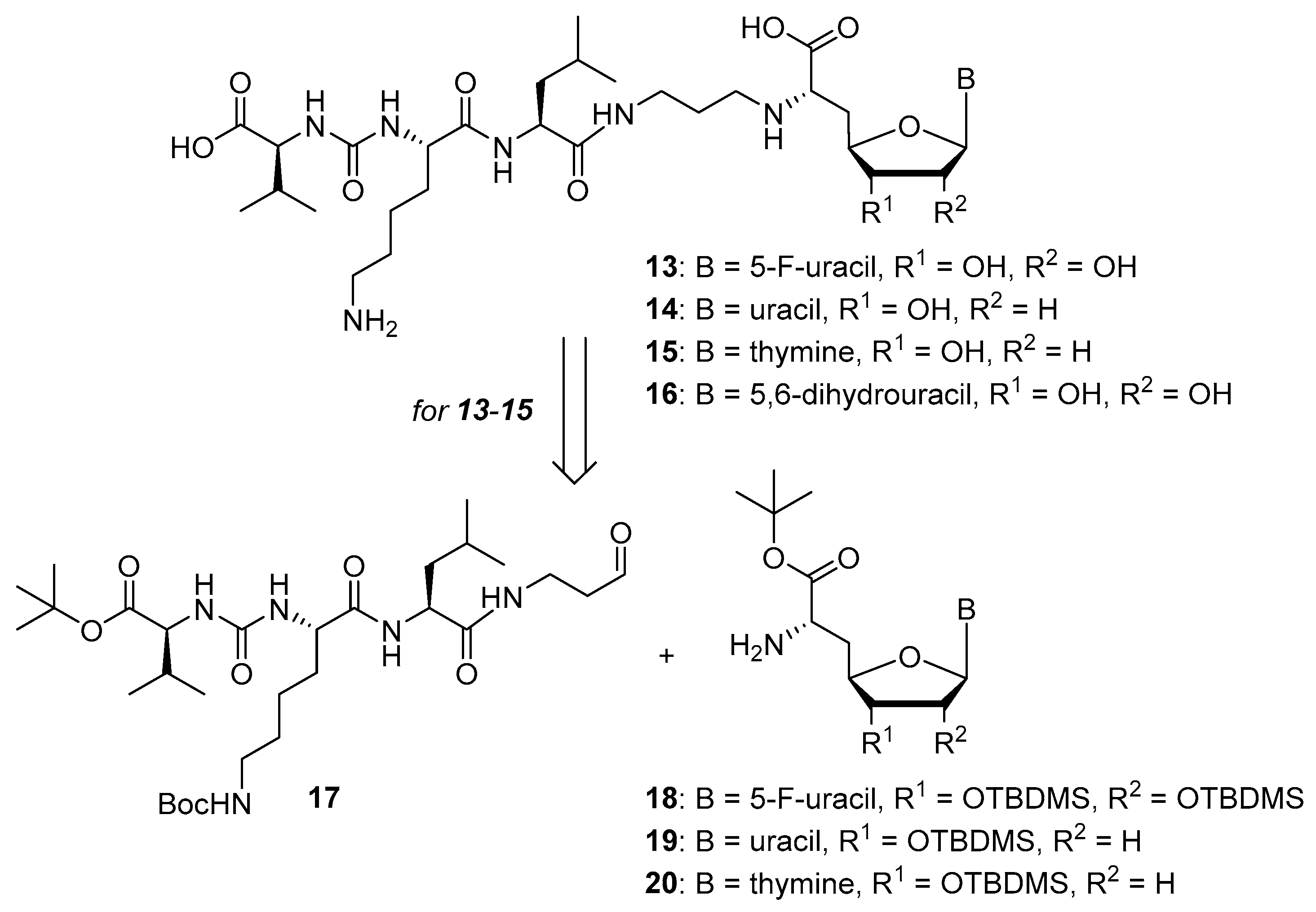 Molecules 25 00022 sch002