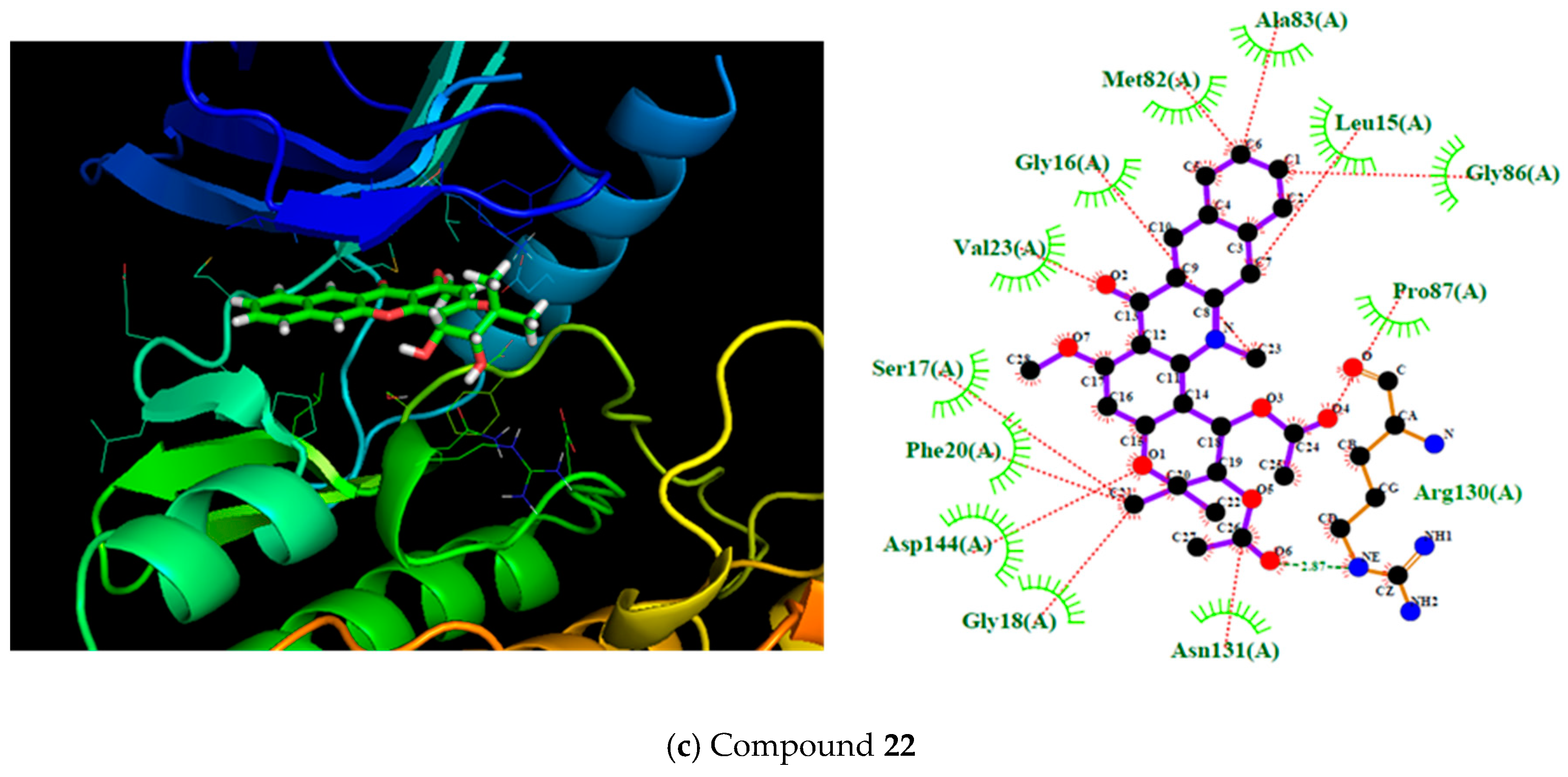 Molecules 25 00024 g003b Molecules 25 00024 g003b