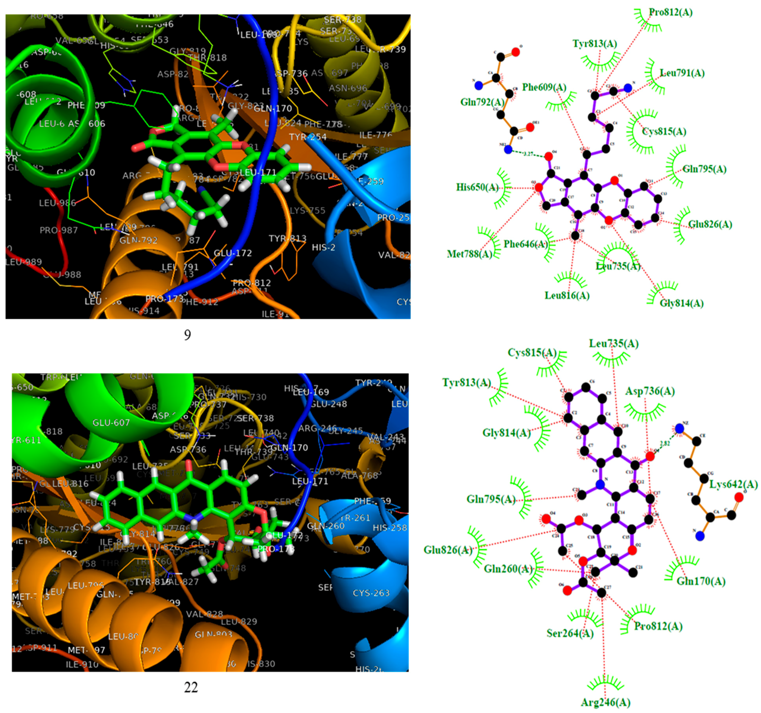 Molecules 25 00024 g004 Molecules 25 00024 g004
