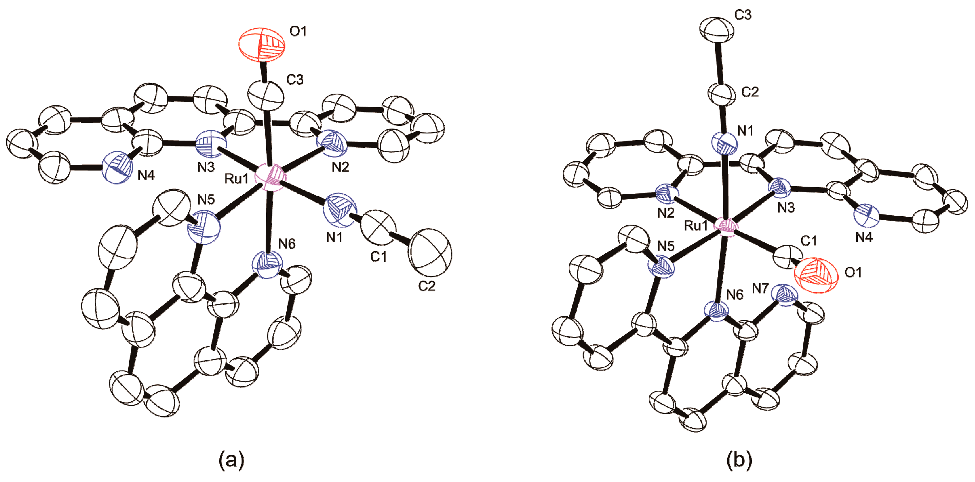 Molecules 25 00027 g005 Molecules 25 00027 g005