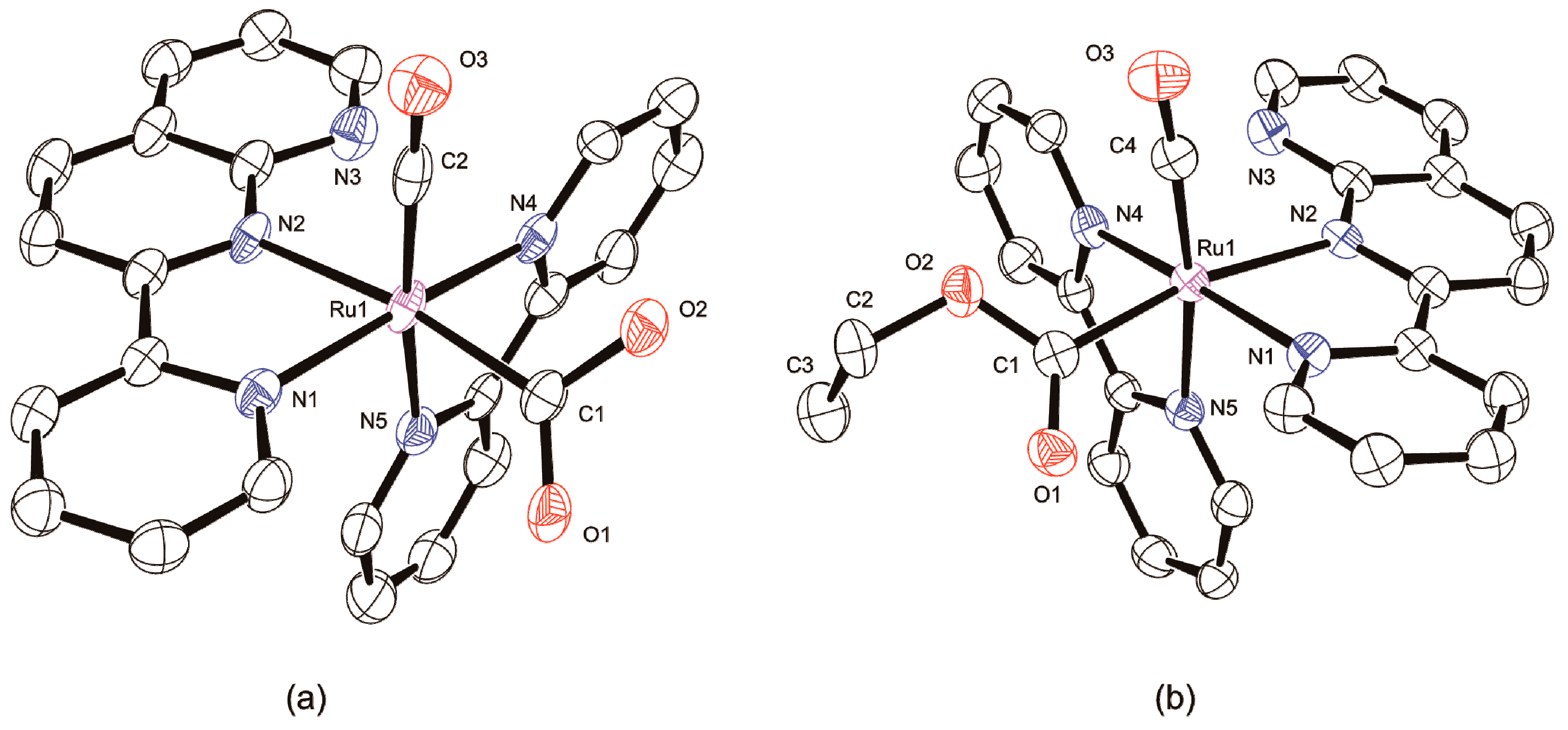 Molecules 25 00027 g006 Molecules 25 00027 g006