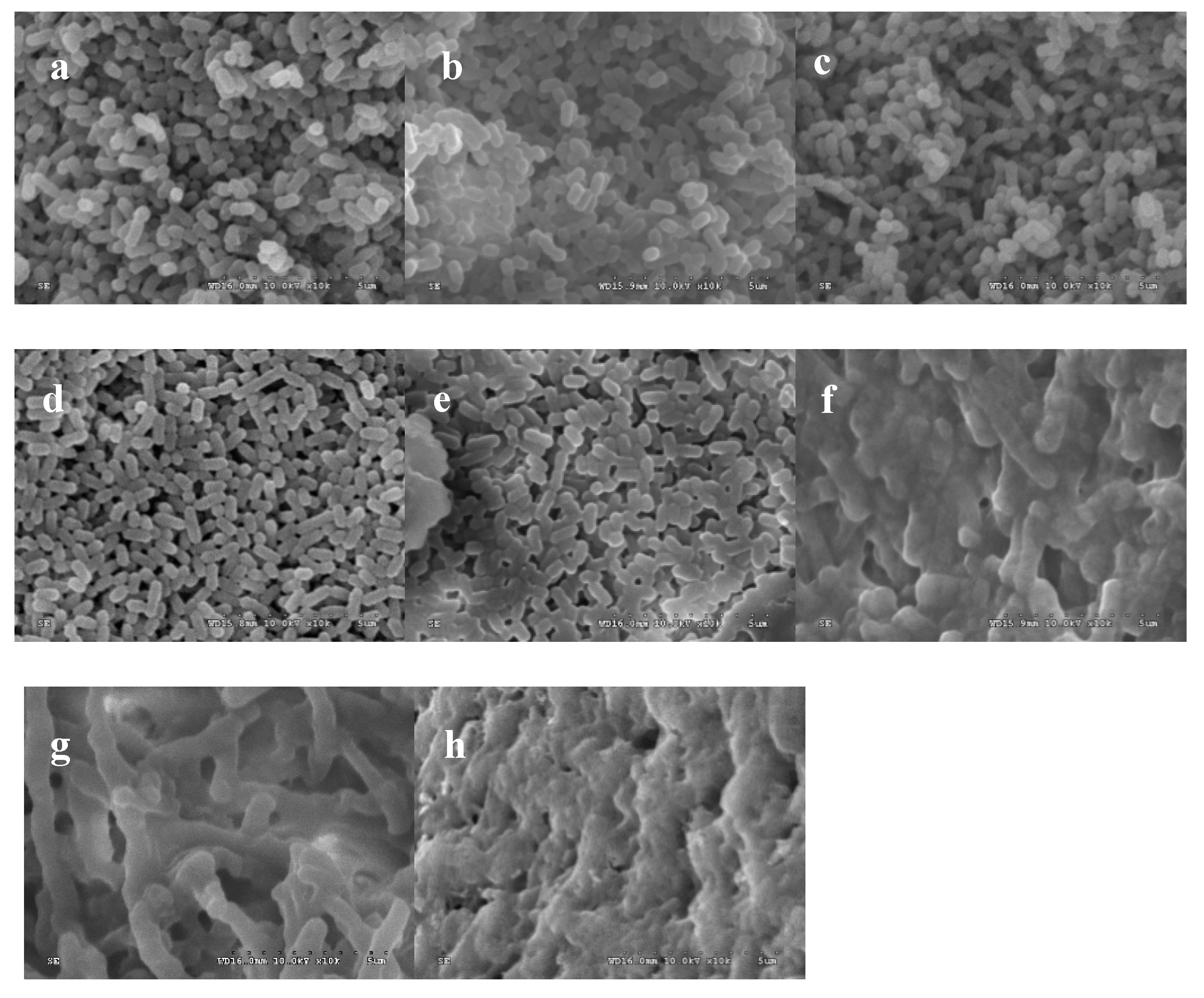 Molecules 25 00033 g002 Molecules 25 00033 g002