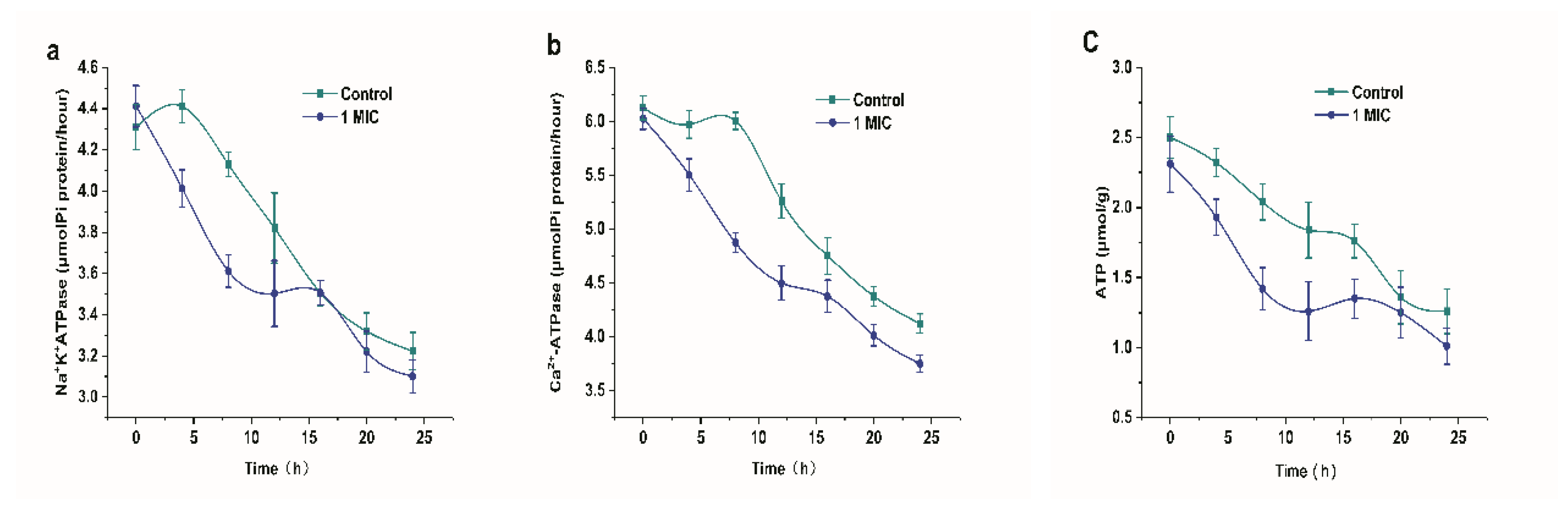 Molecules 25 00033 g007 Molecules 25 00033 g007
