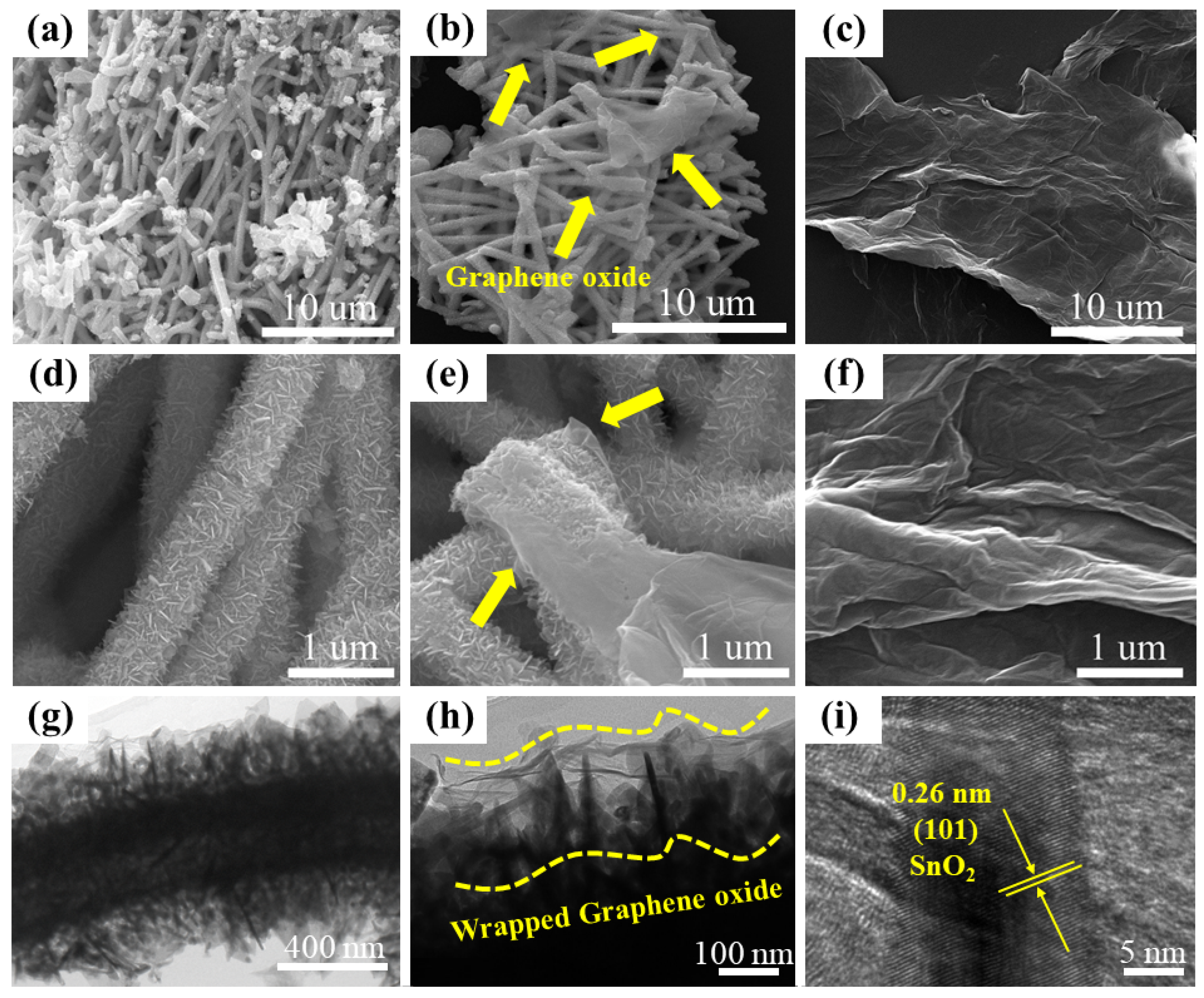 Molecules 25 00035 g003 Molecules 25 00035 g003