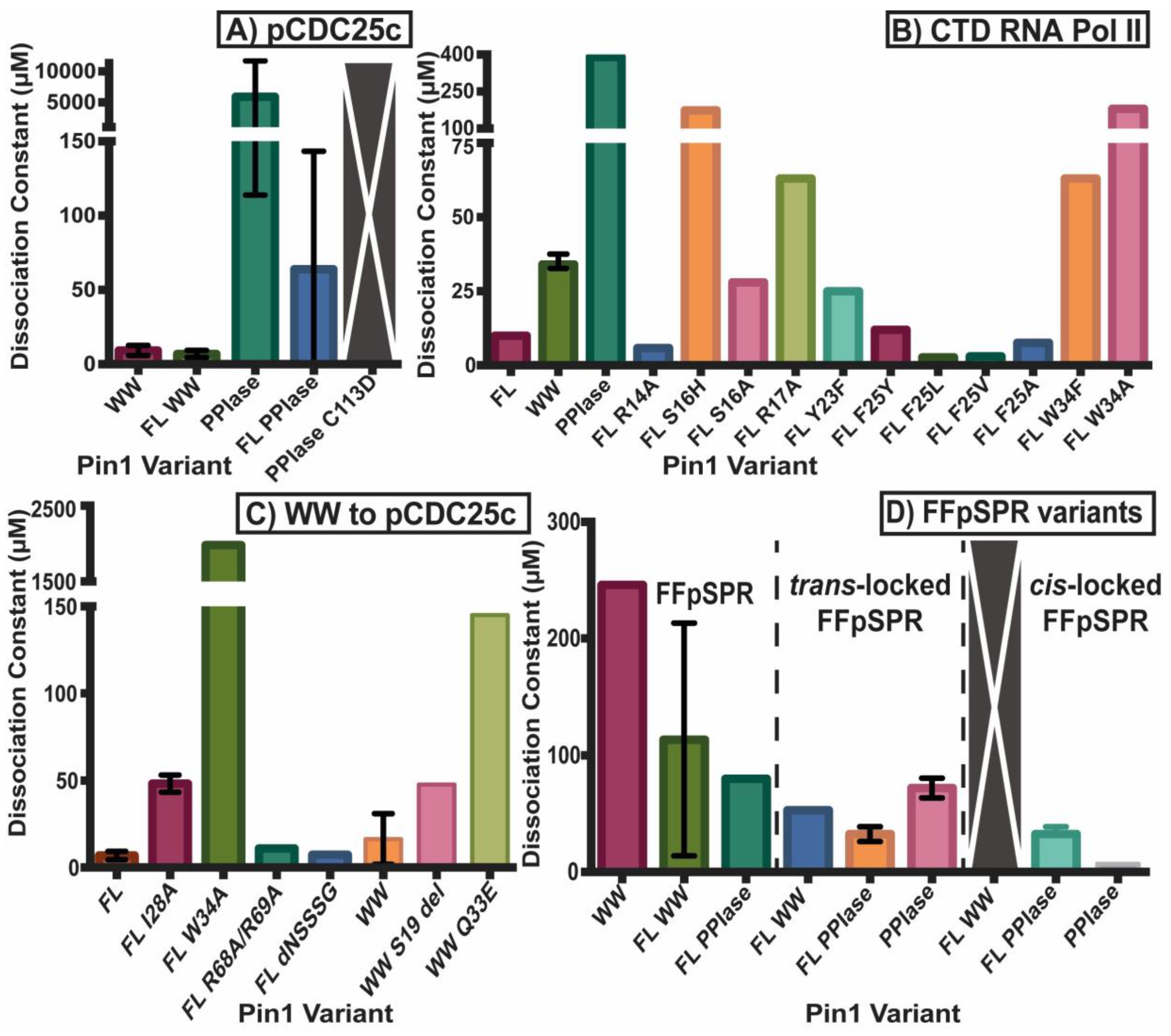Molecules 25 00036 g002 Molecules 25 00036 g002