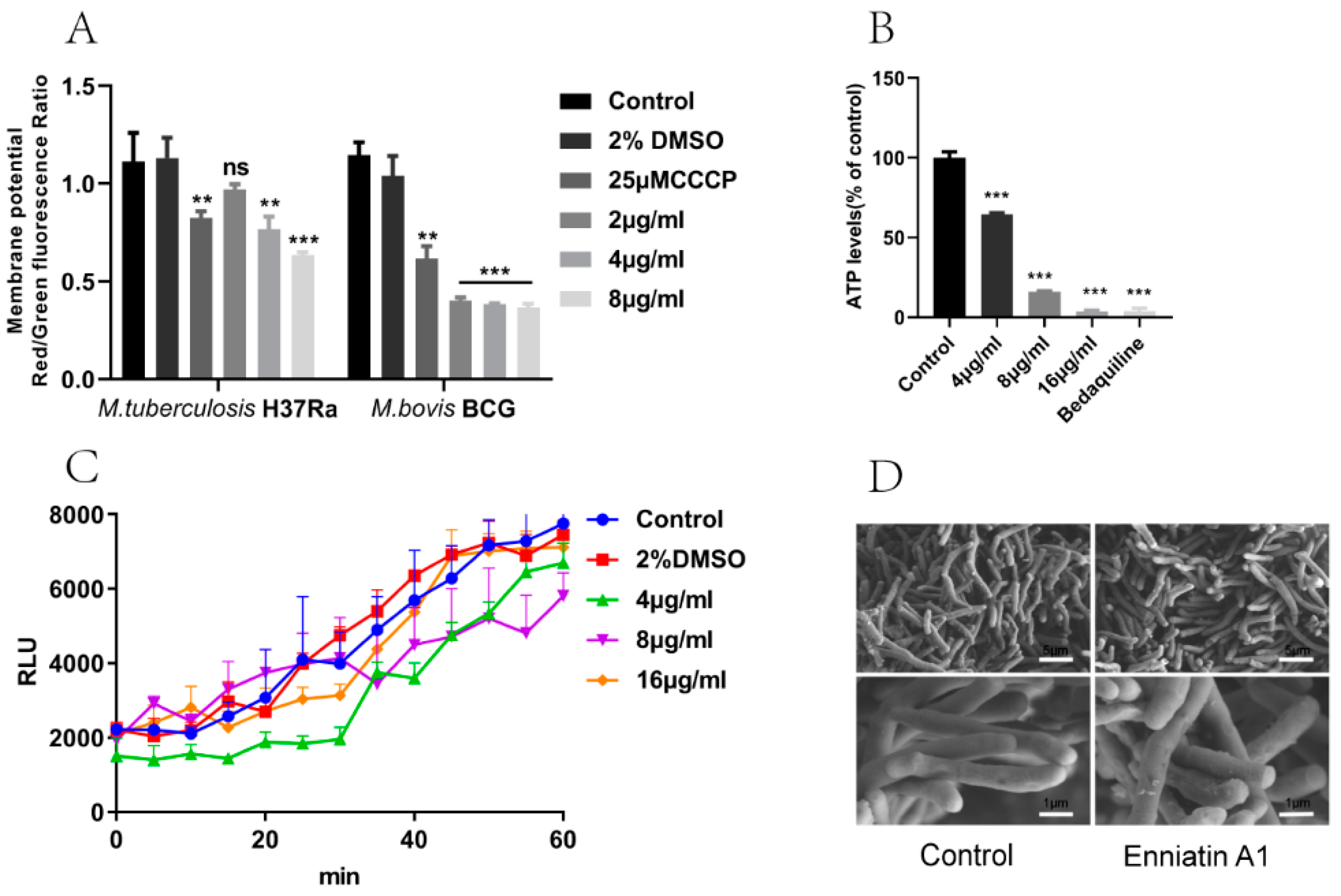 Molecules 25 00038 g005 Molecules 25 00038 g005