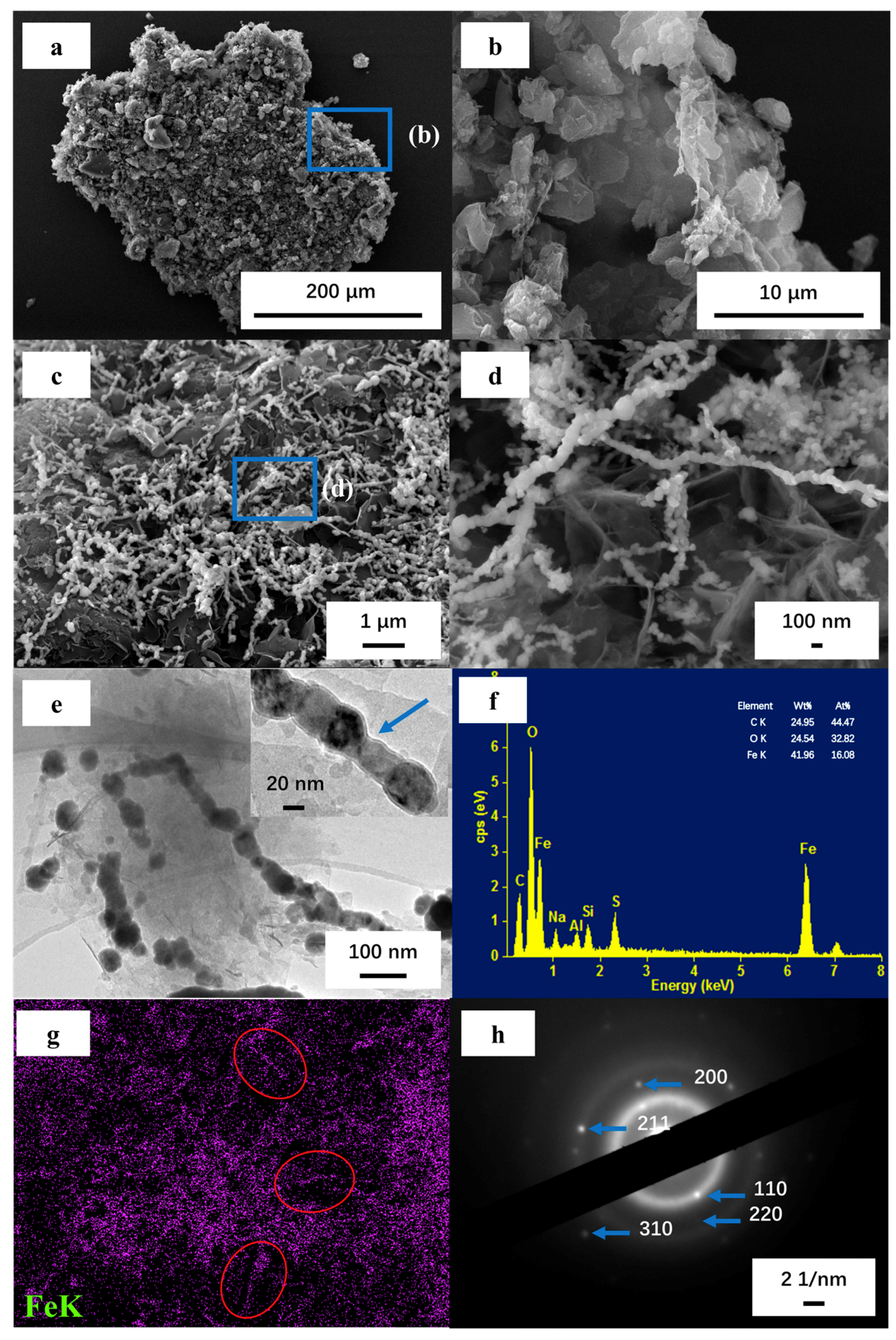 Molecules 25 00047 g001 Molecules 25 00047 g001