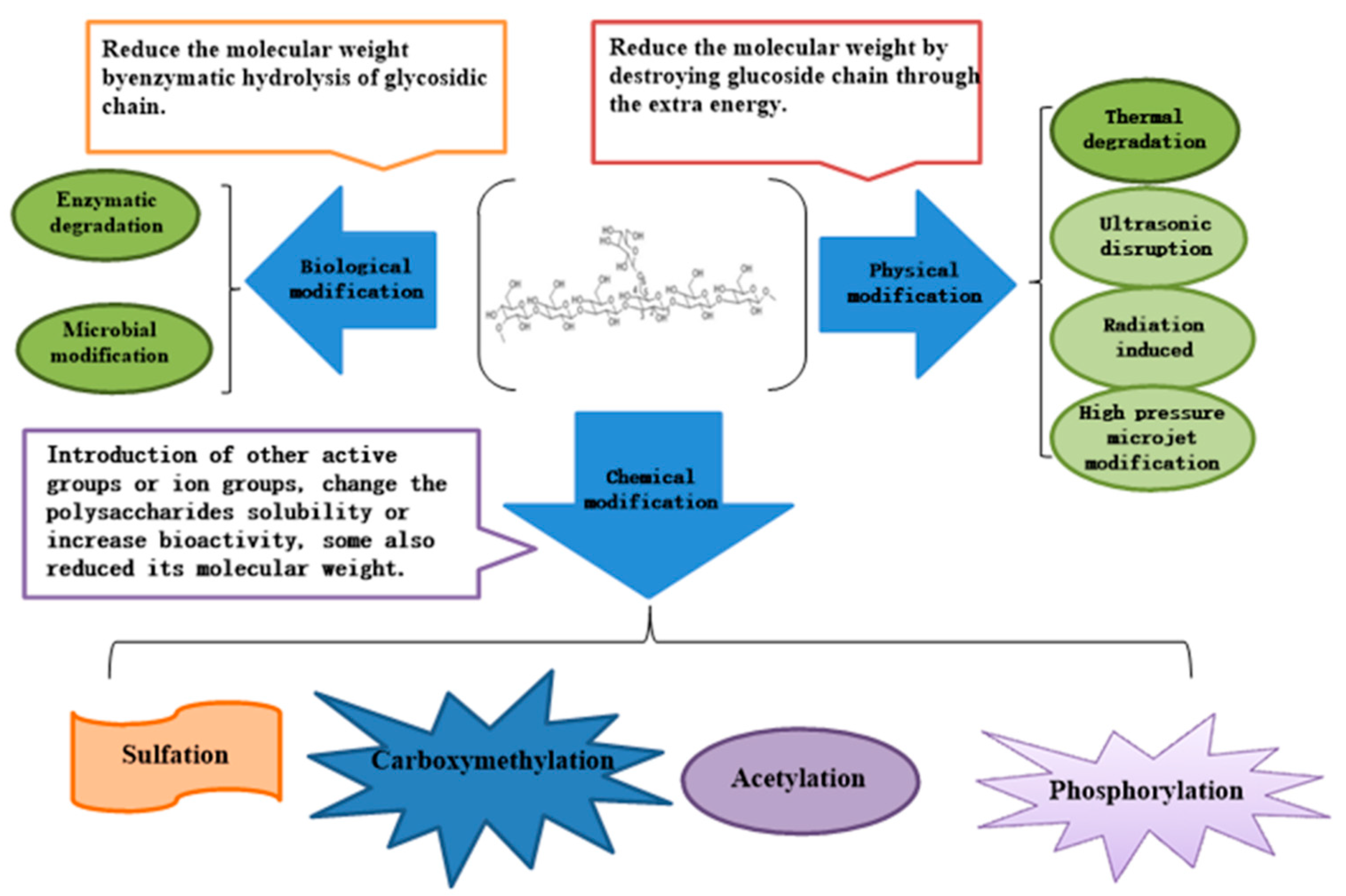 Molecules Free Full Text Effect Of The Modifications On The Physicochemical And Biological Properties Of B Glucan A Critical Review Html