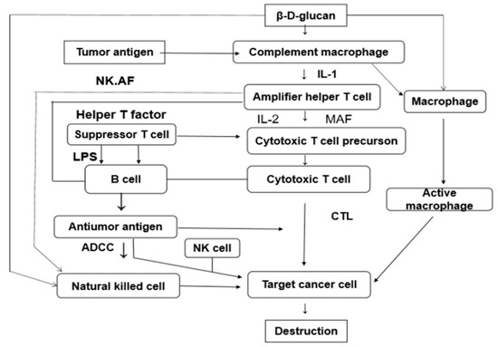 glucagon beta blocker antidote mechanism