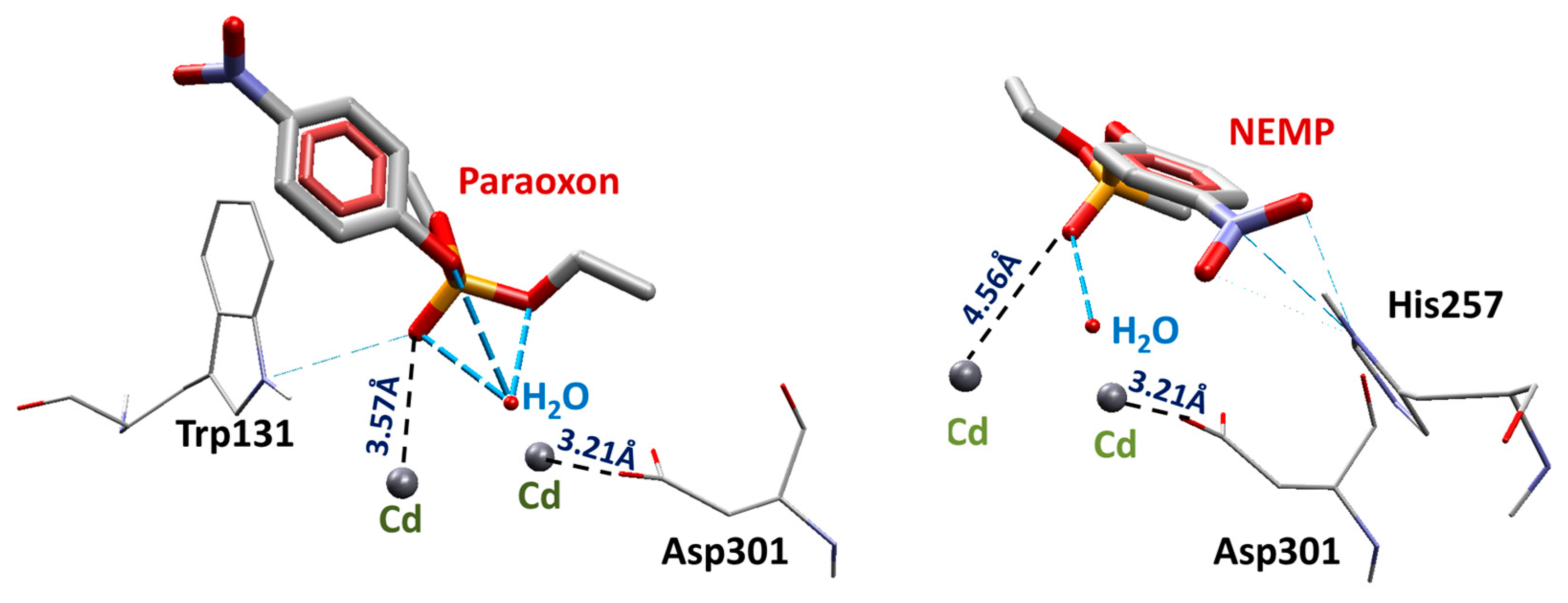 Molecules 25 00058 g004 Molecules 25 00058 g004