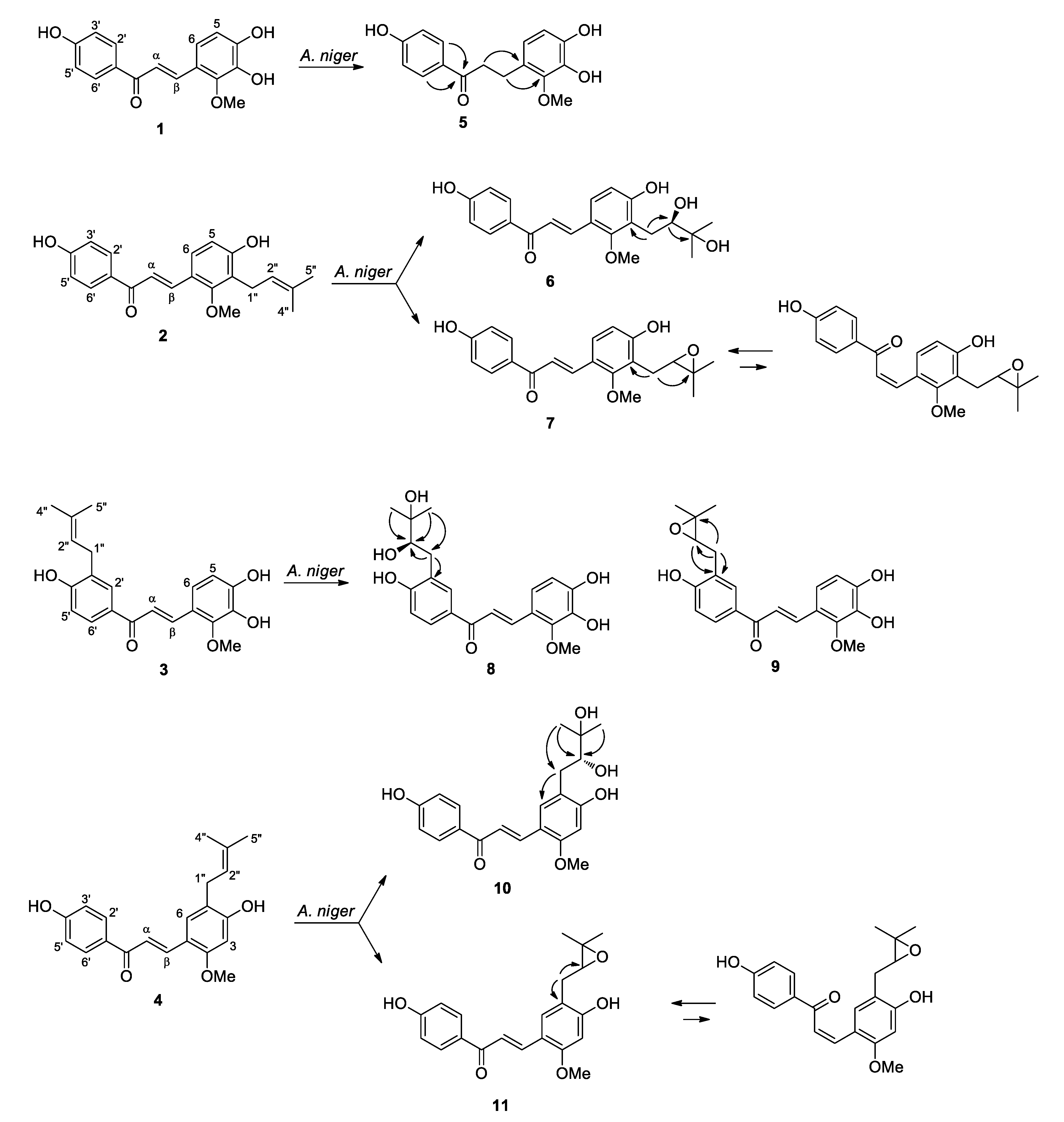 Molecules 25 00060 sch001