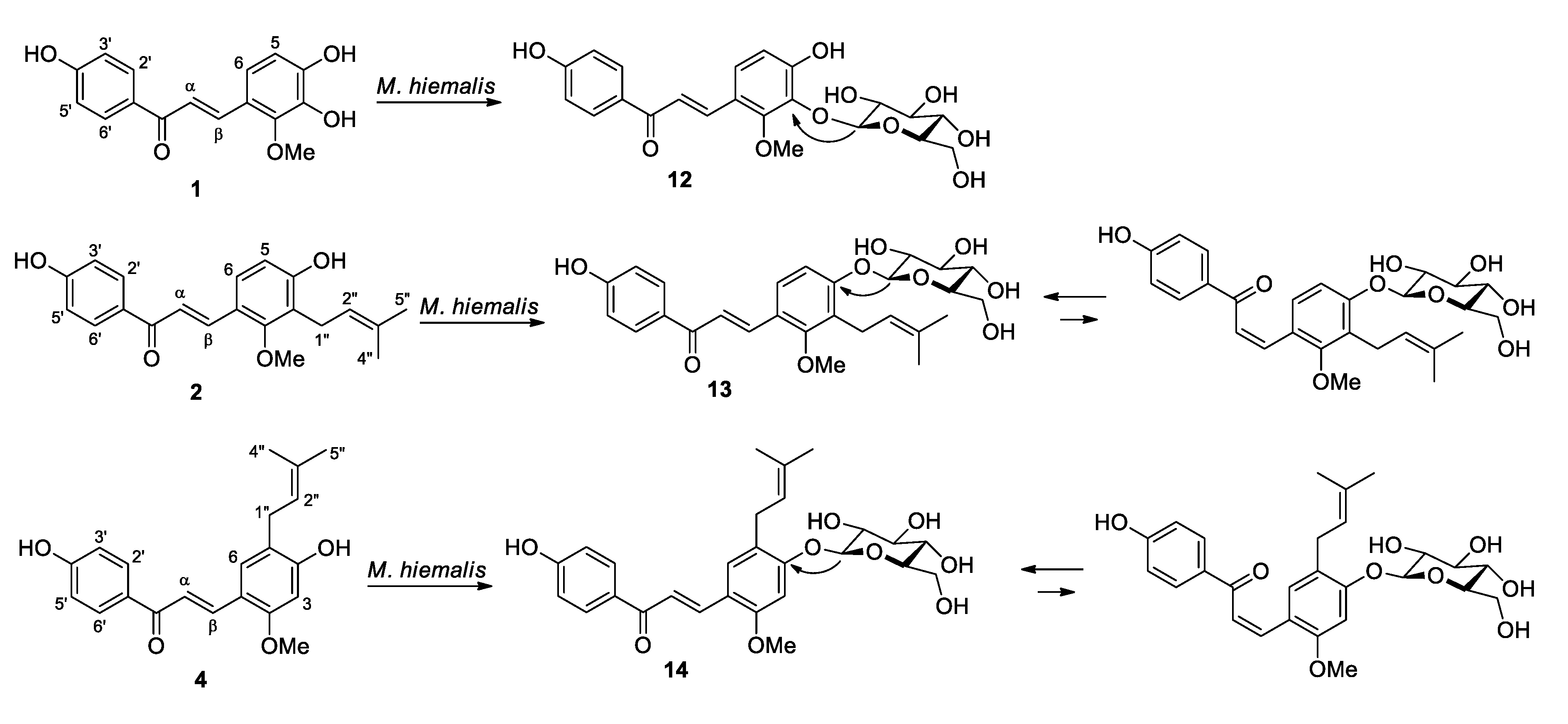 Molecules 25 00060 sch002