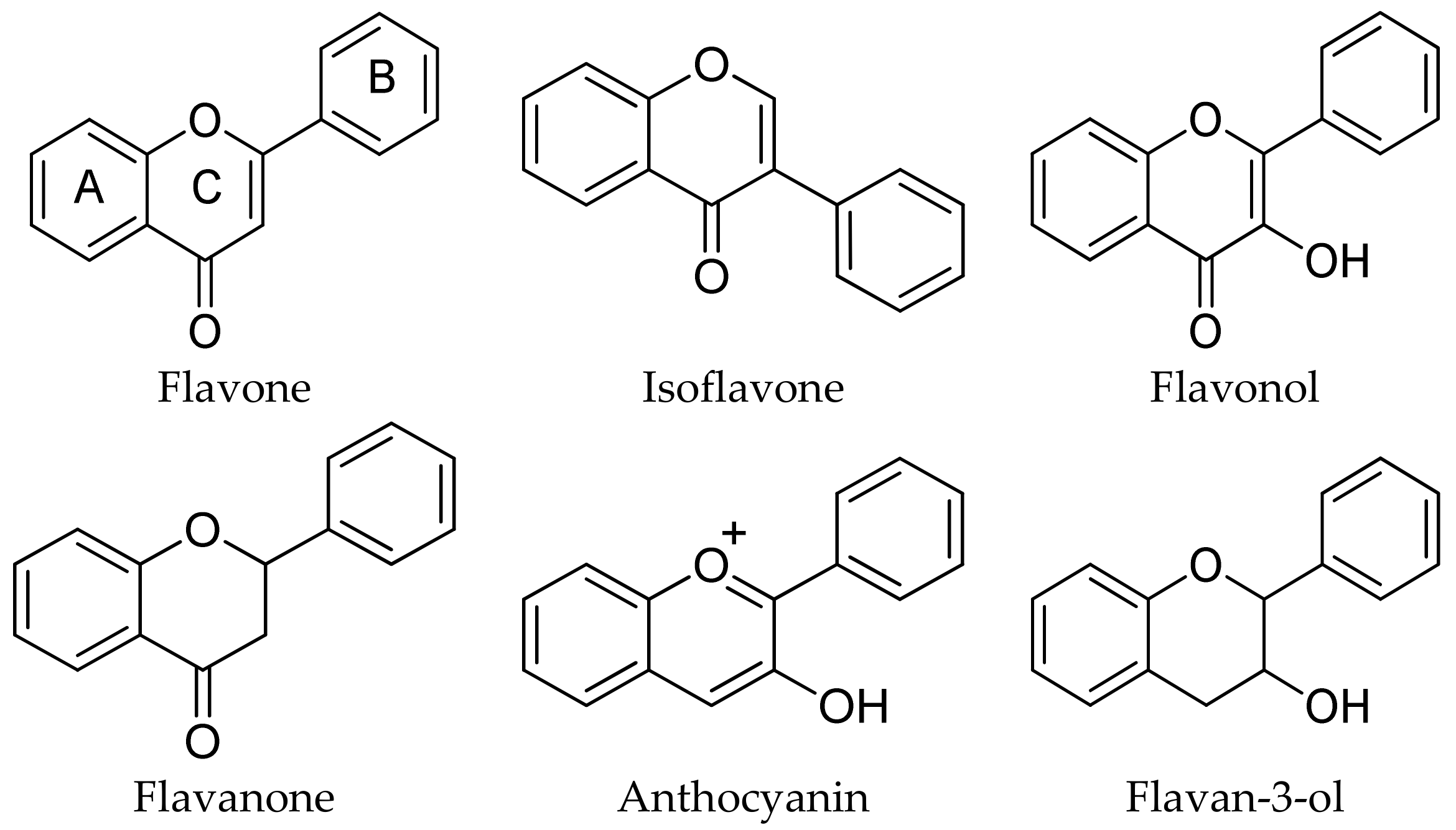 Molecules 25 00063 g007