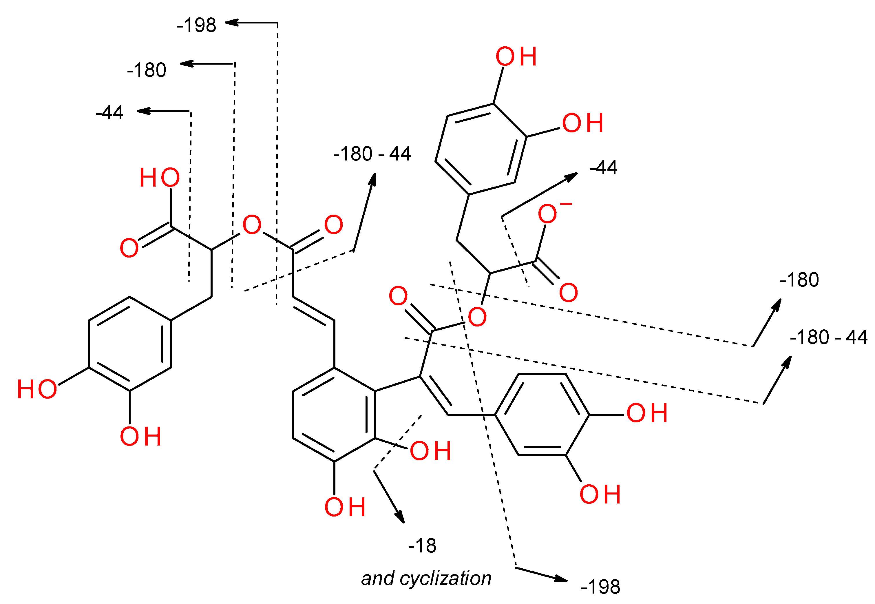 Molecules 25 00069 g004