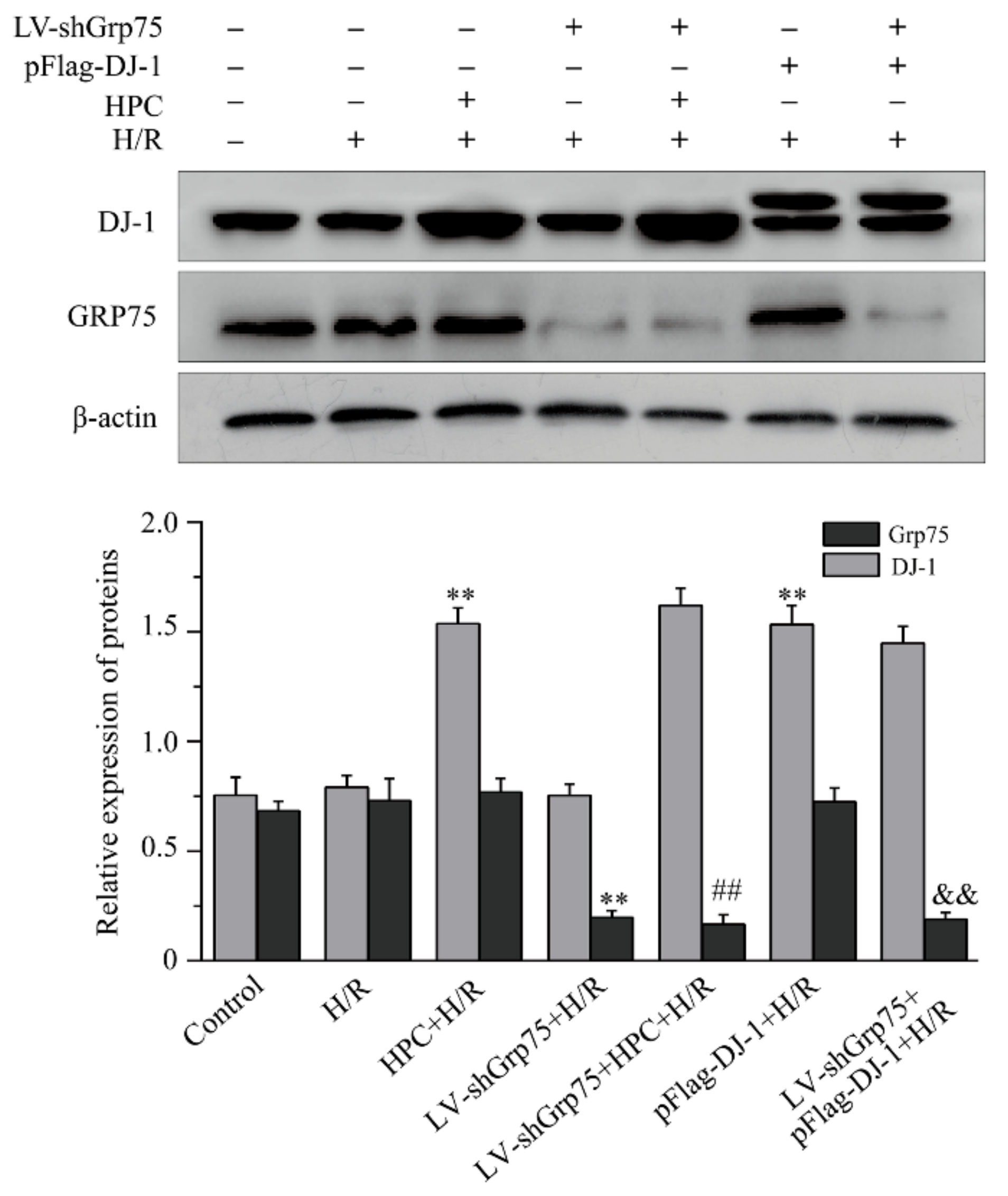 Molecules 25 00071 g002 Molecules 25 00071 g002