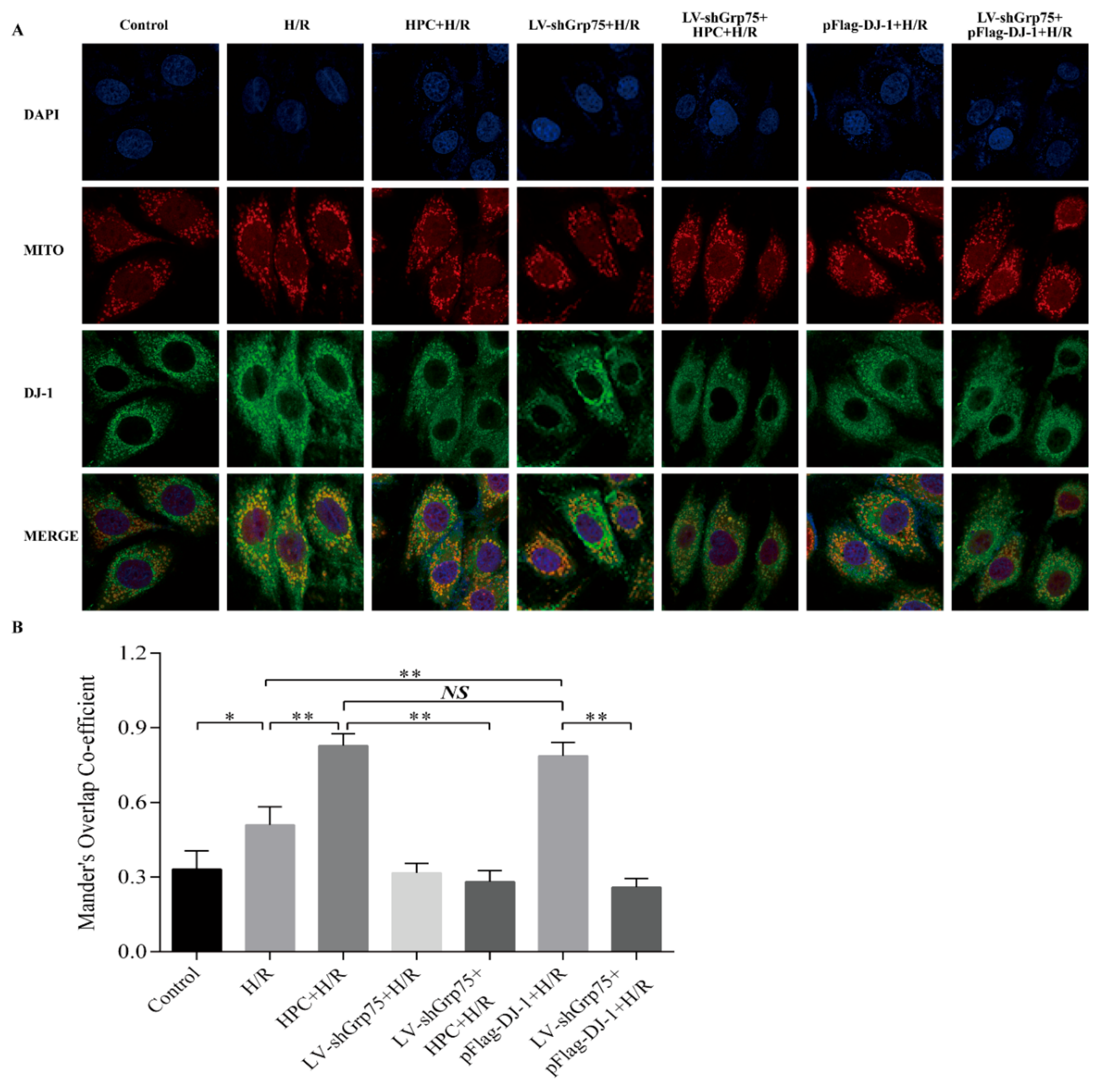 Molecules 25 00071 g003 Molecules 25 00071 g003