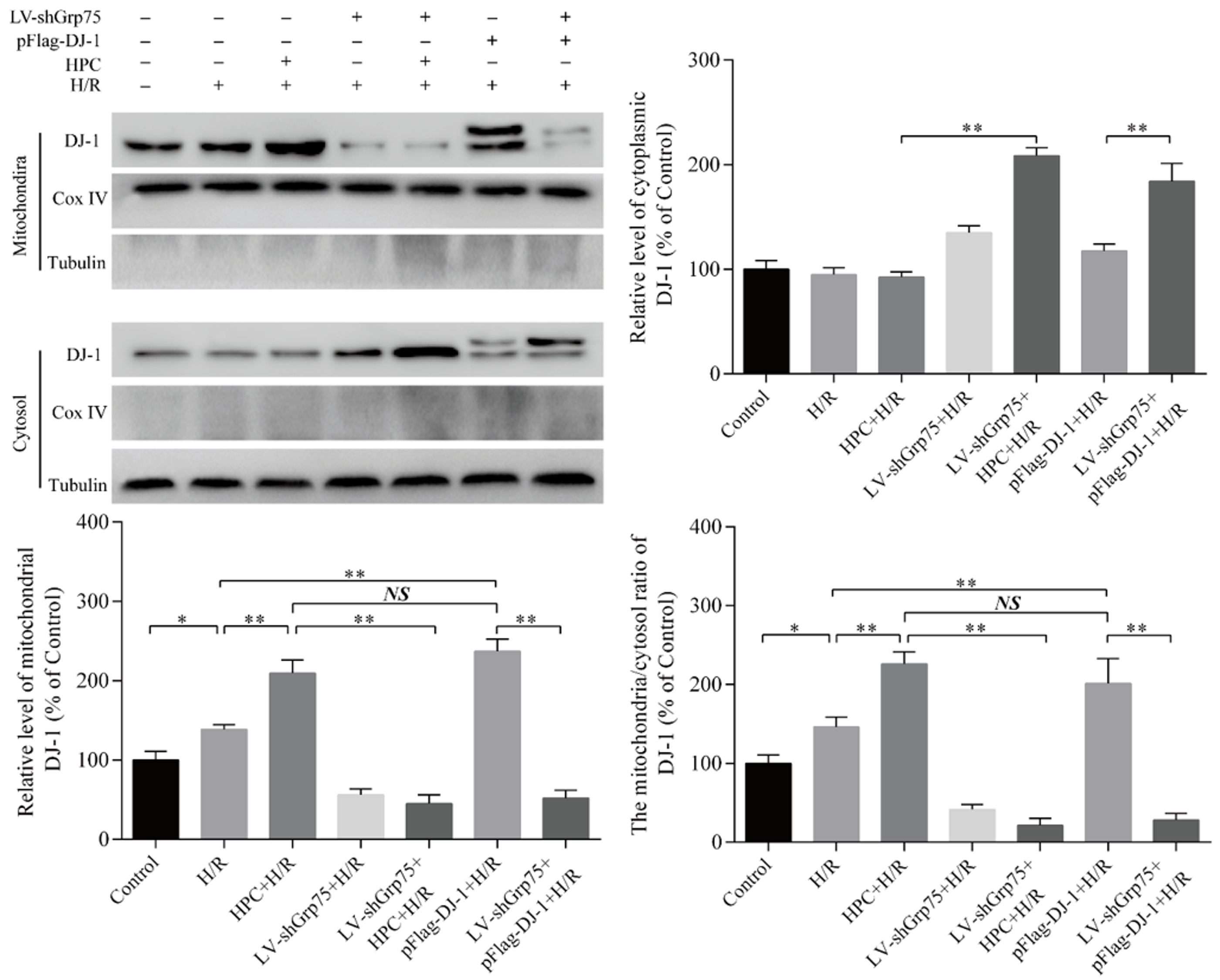 Molecules 25 00071 g004 Molecules 25 00071 g004