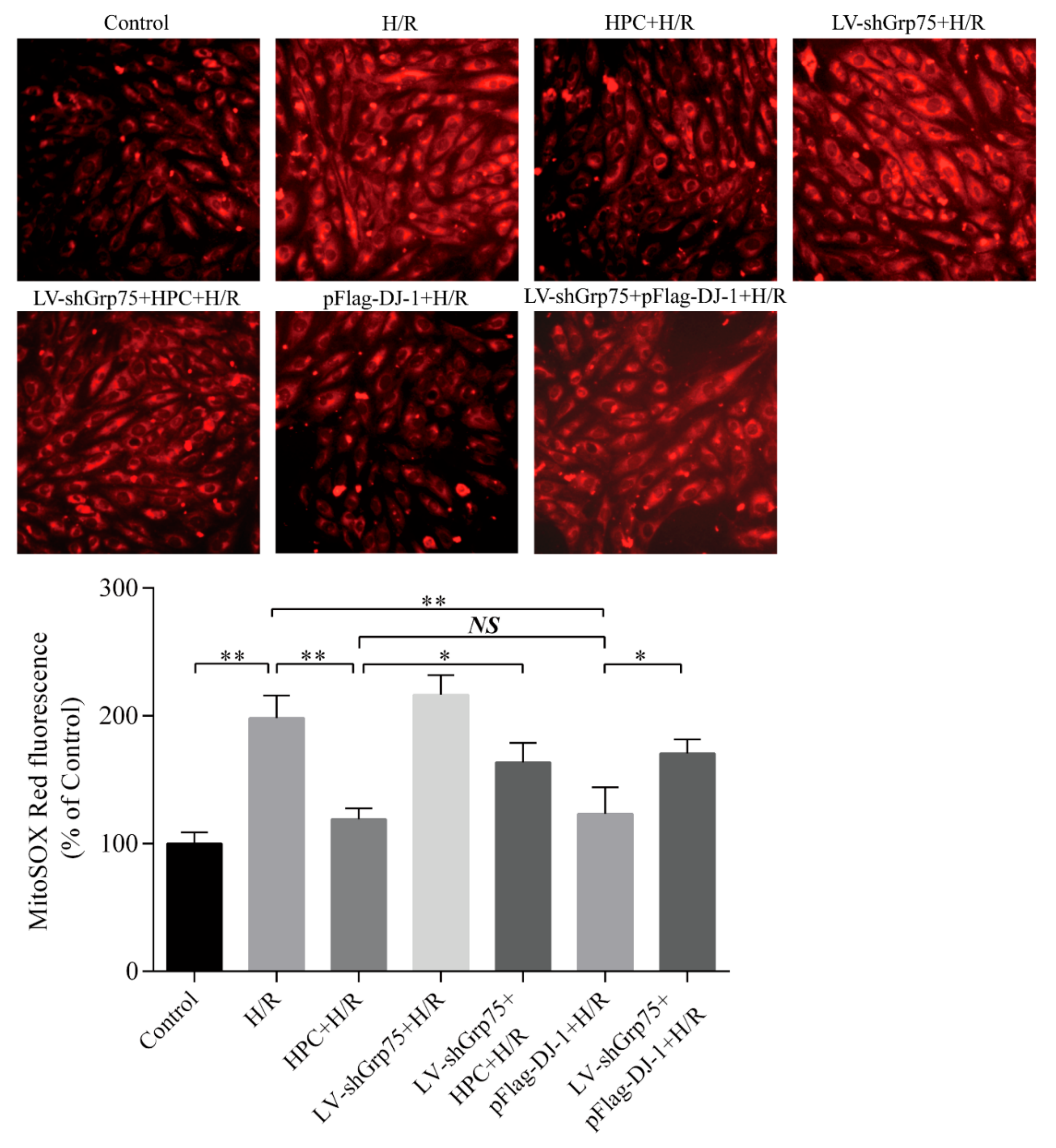 Molecules 25 00071 g006 Molecules 25 00071 g006