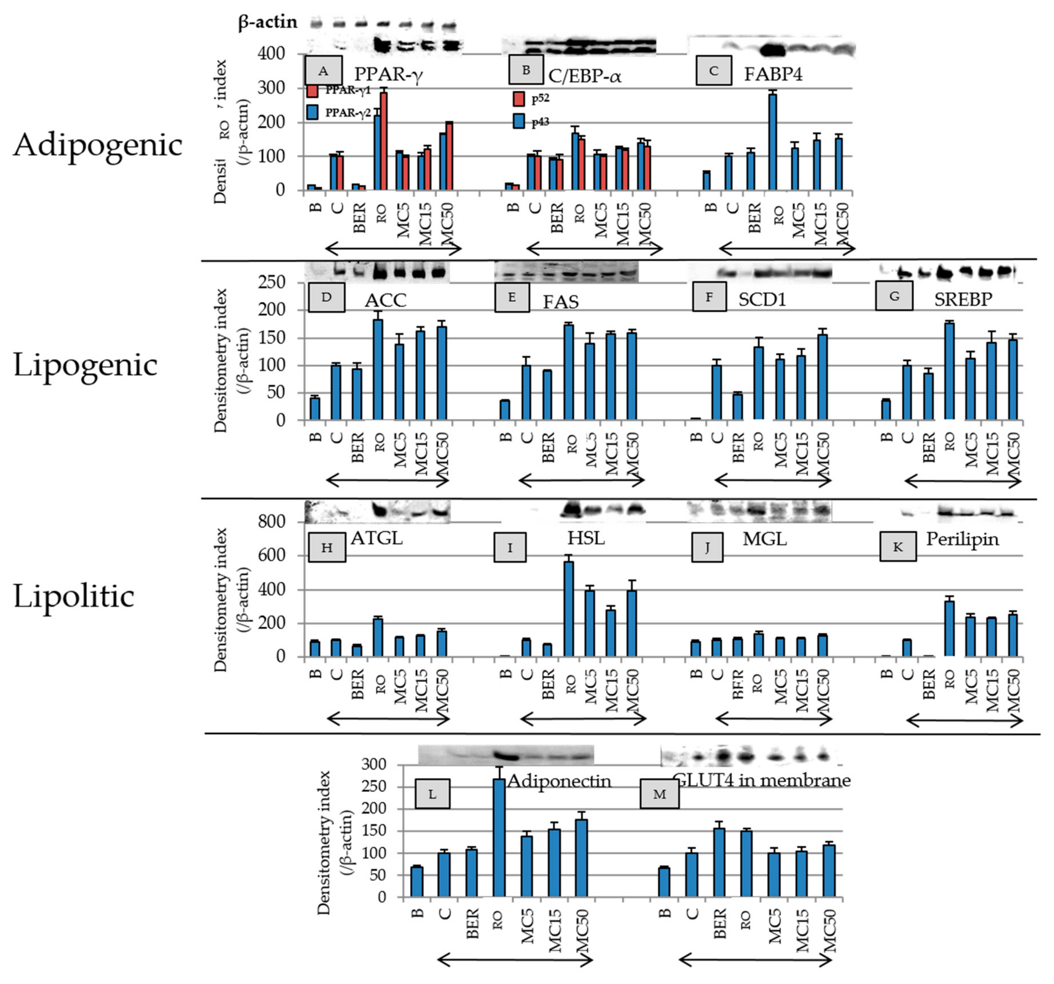 Molecules 25 00073 g005 Molecules 25 00073 g005