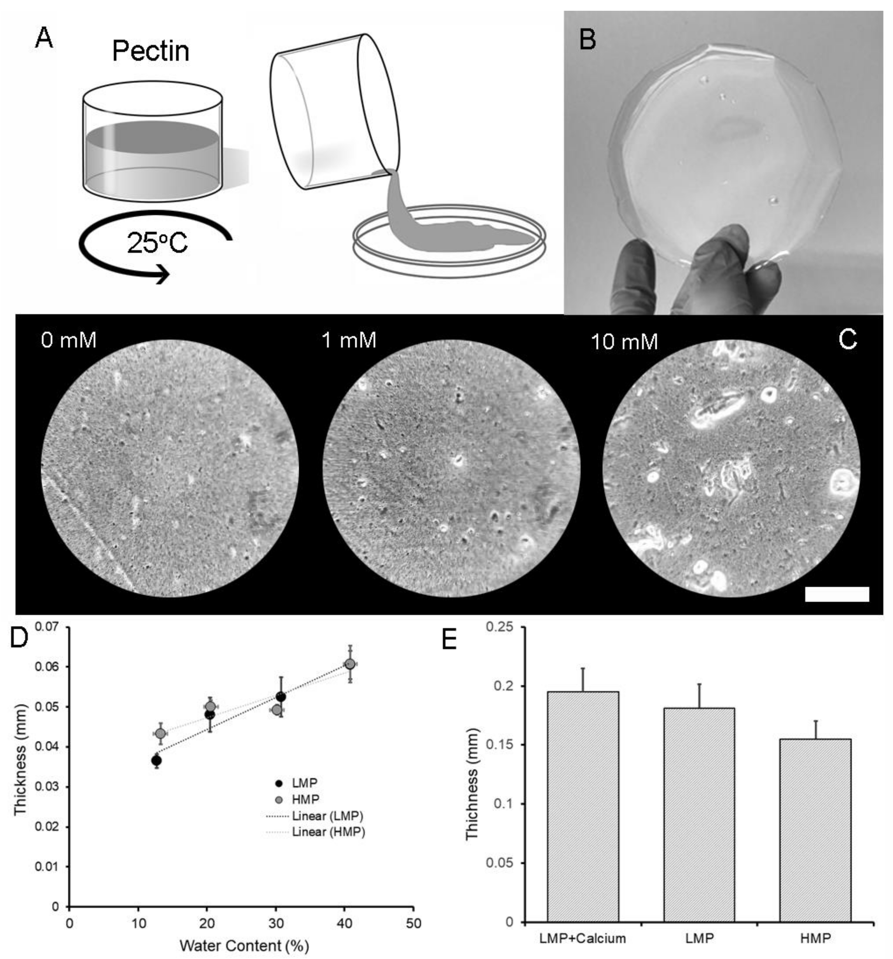 Molecules 25 00075 g001 Molecules 25 00075 g001