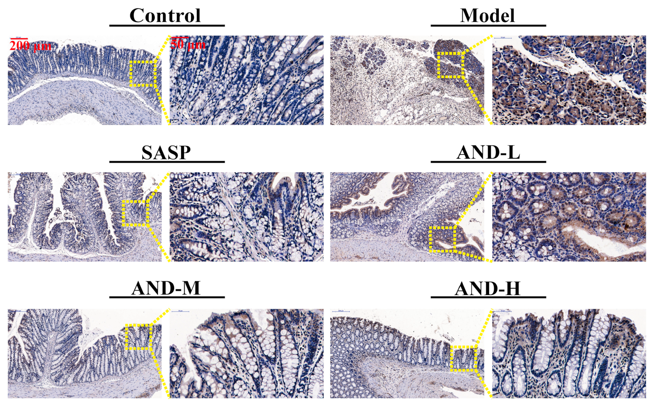 Molecules 25 00076 g003