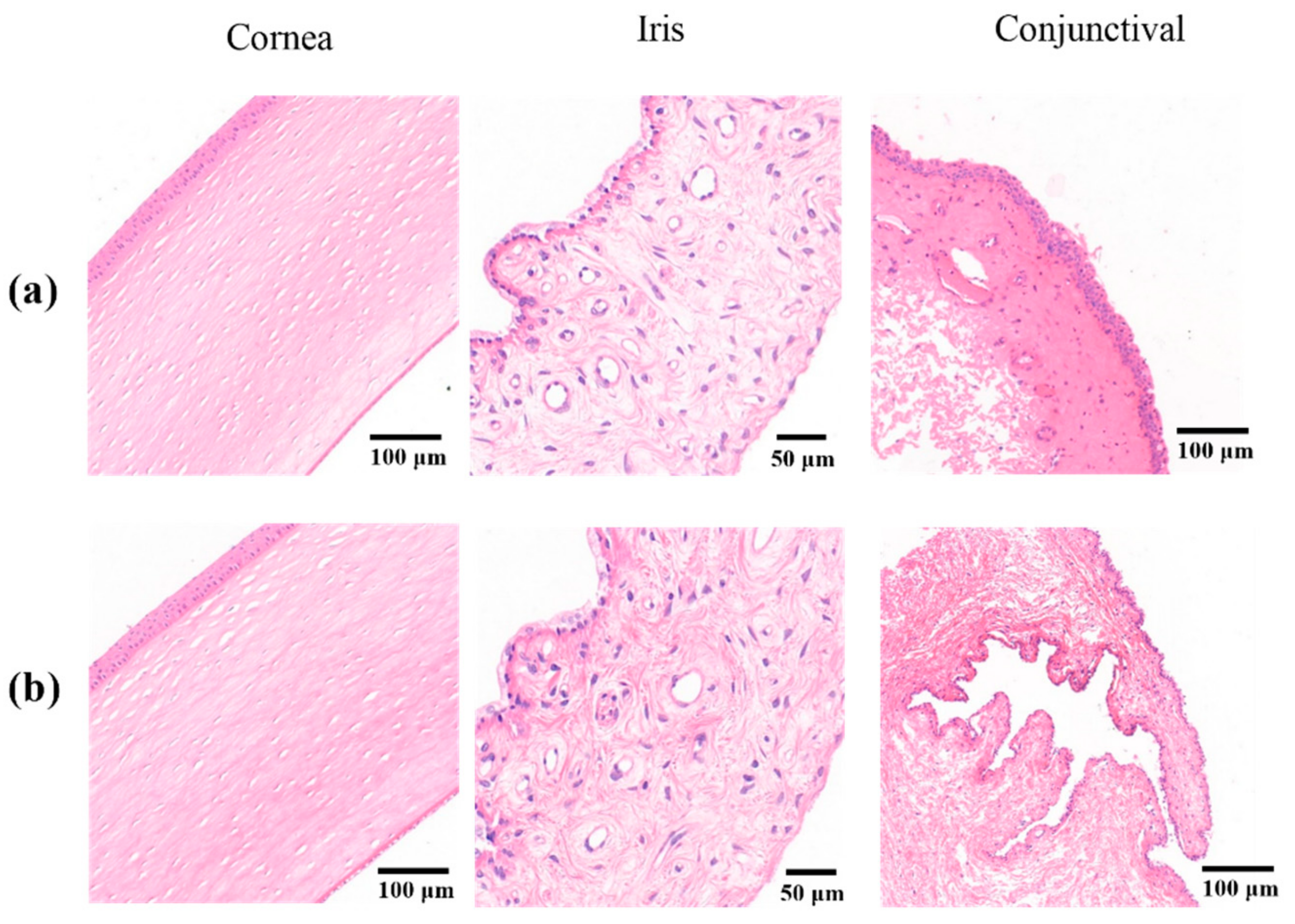 Molecules 25 00081 g007 Molecules 25 00081 g007